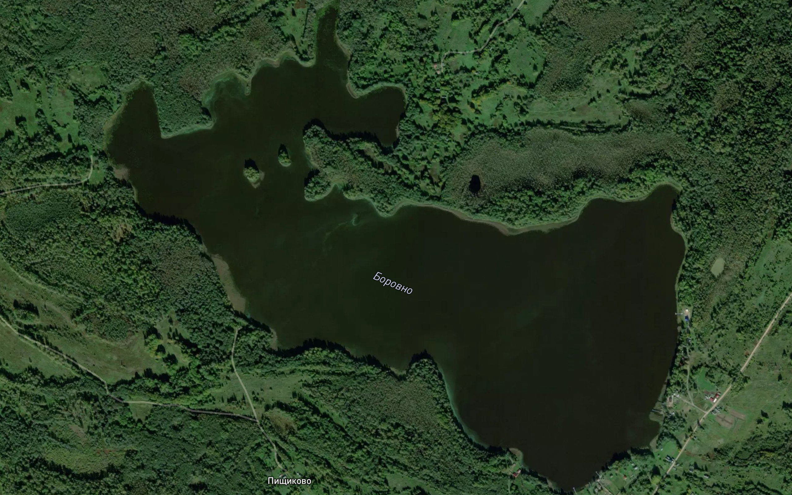 Ozero Borovno