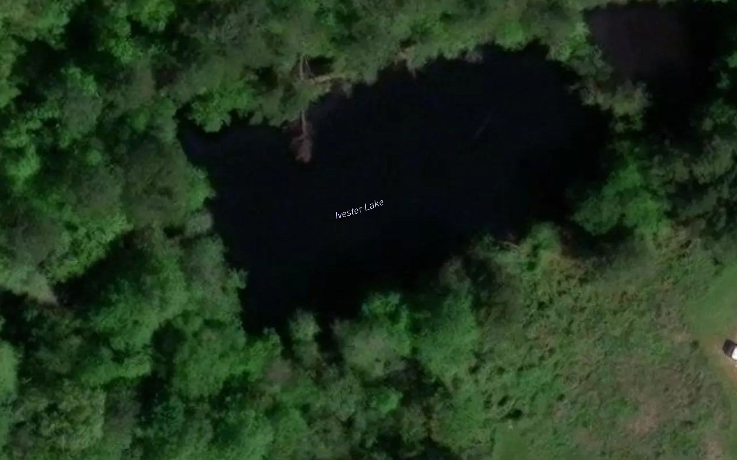 Ivester Lake