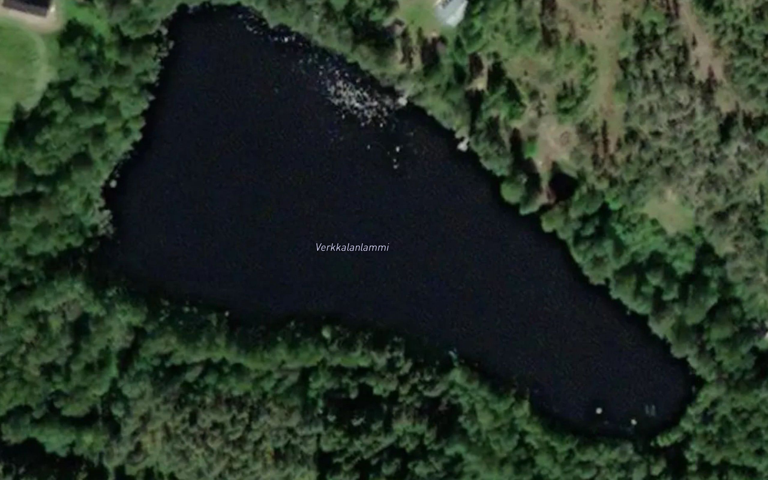Verkkalanlammi