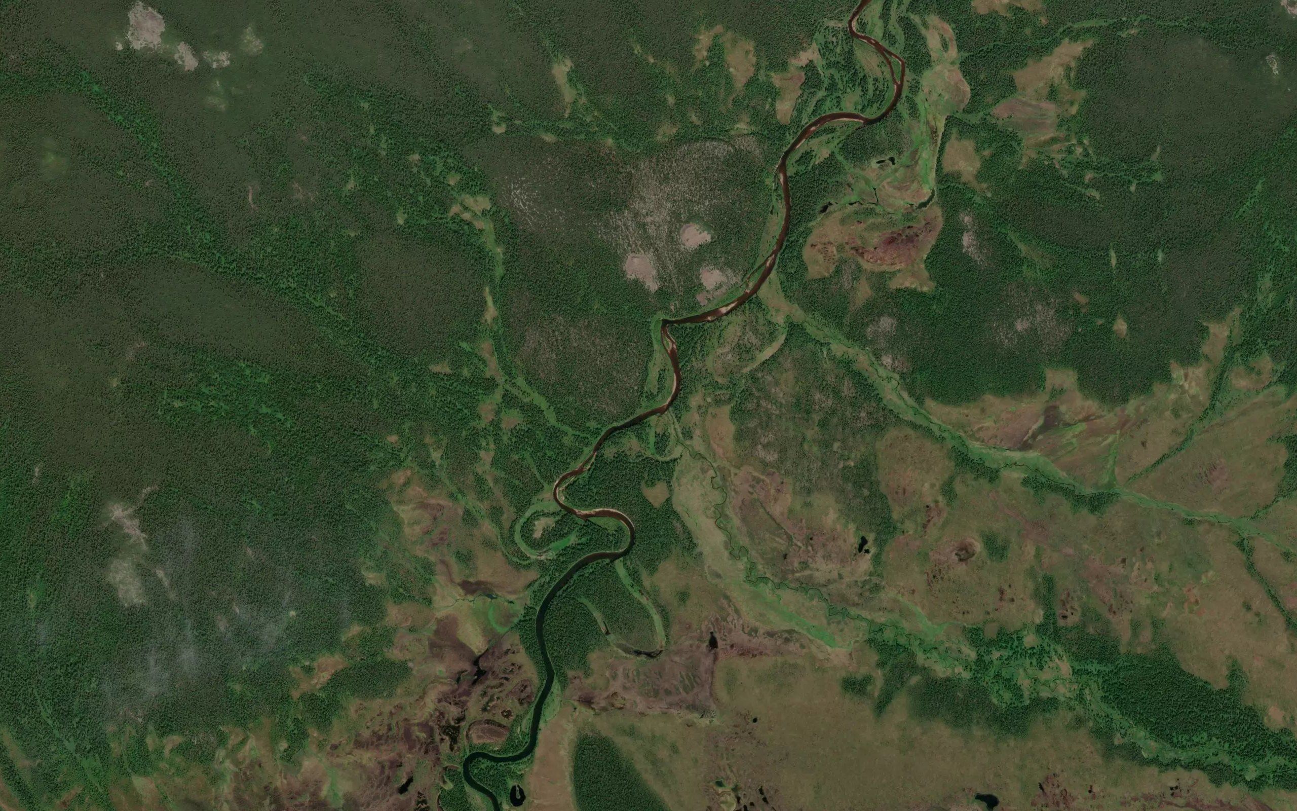 Nyrok