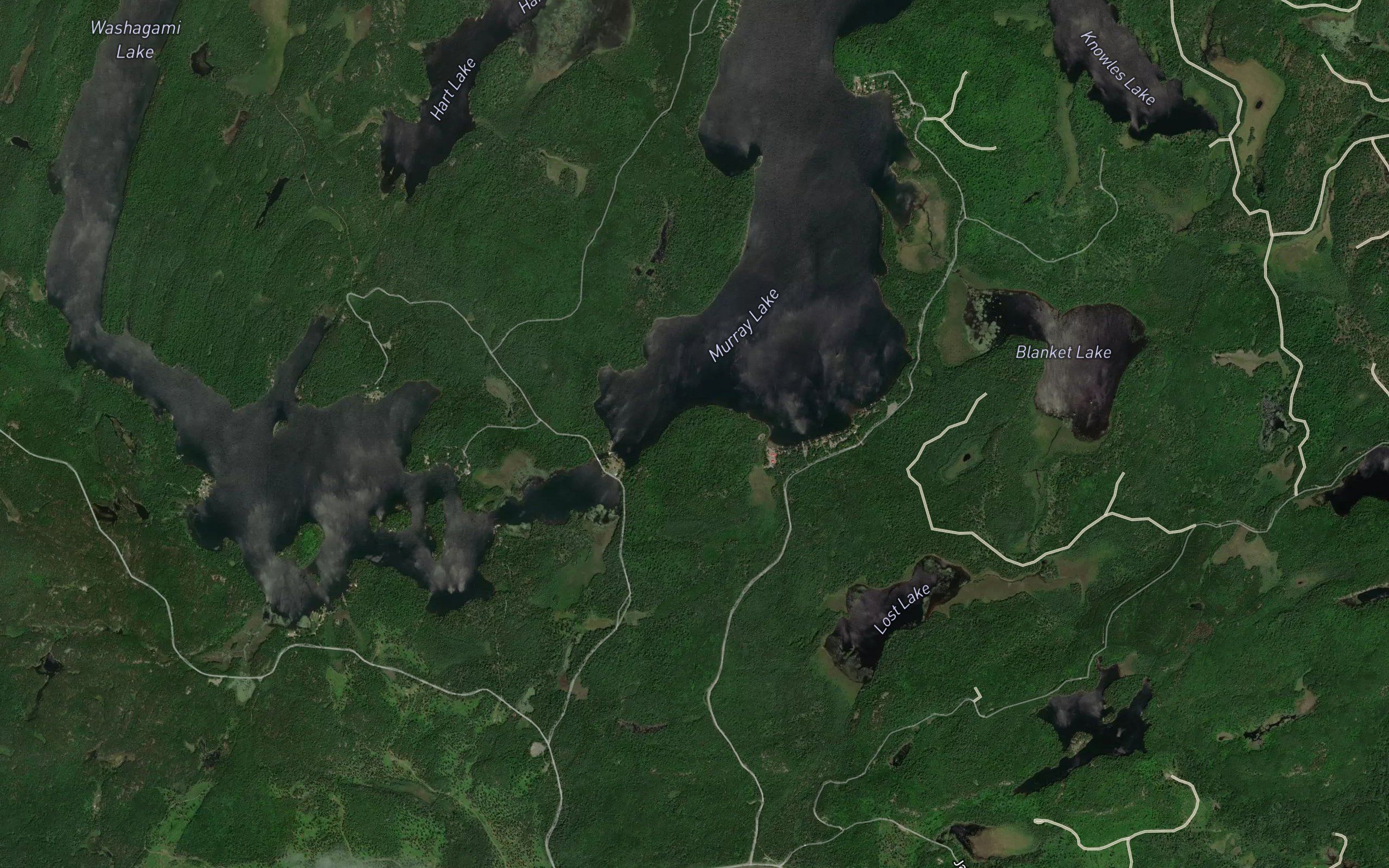 Lac Murray