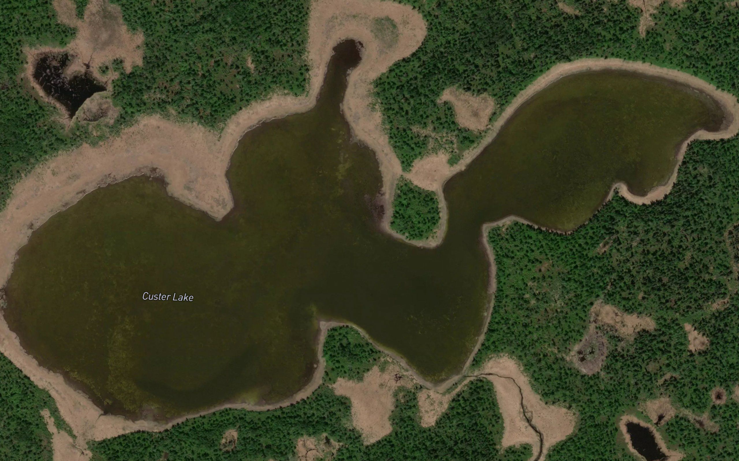 Custer Lake