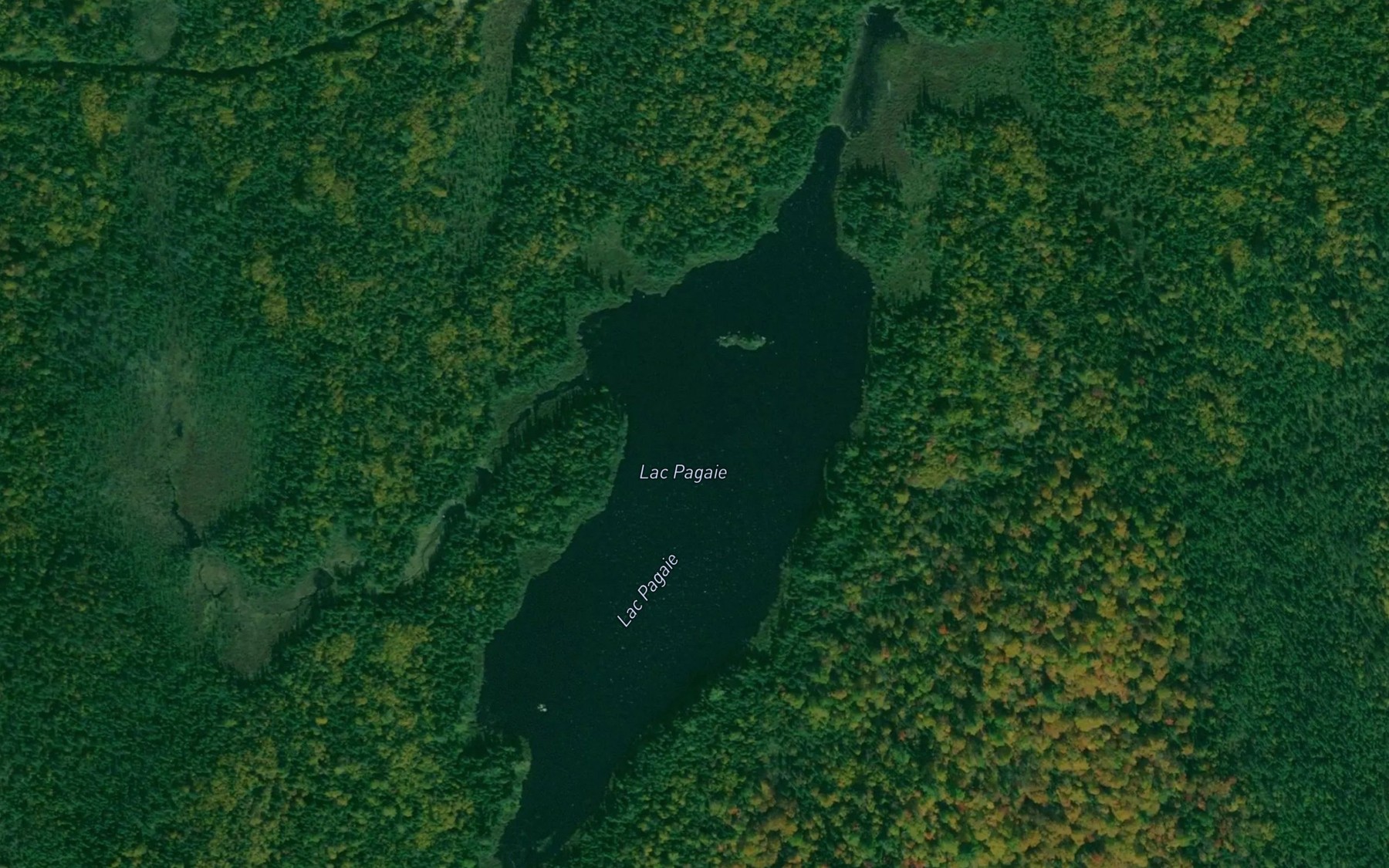 Satellite map of the Lac Pagaie