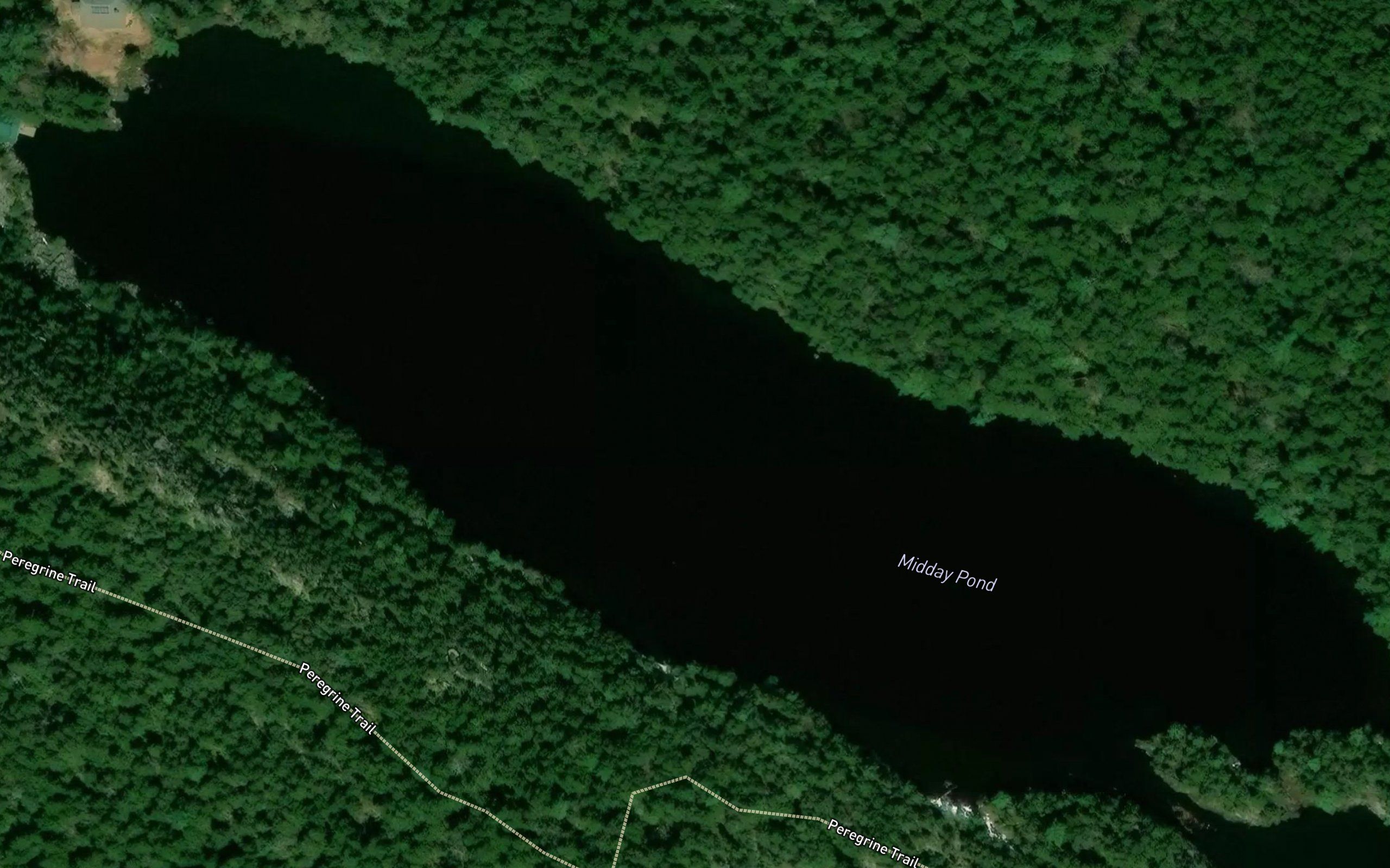 Midday Pond