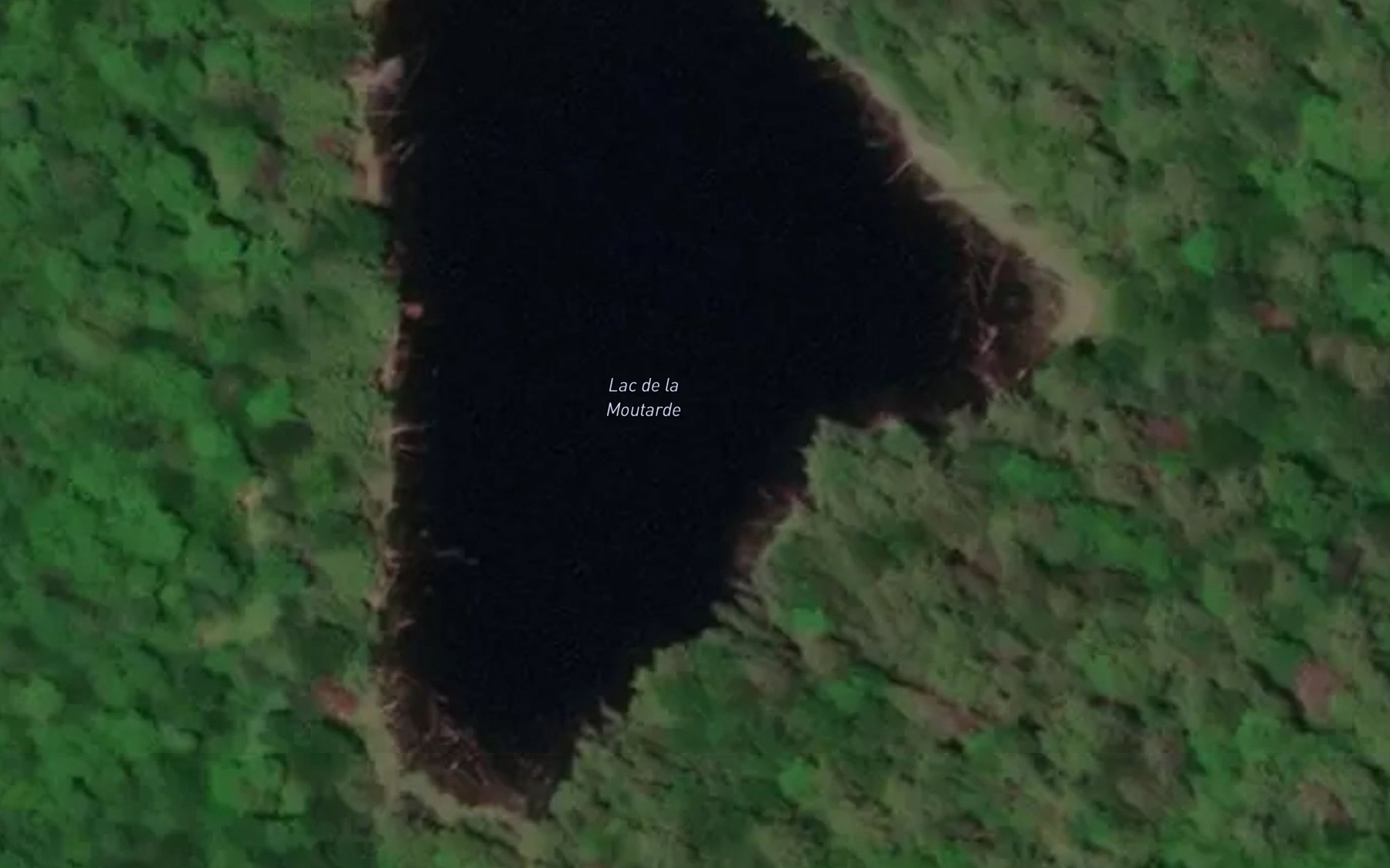 Satellite map of the Lac de la Moutarde