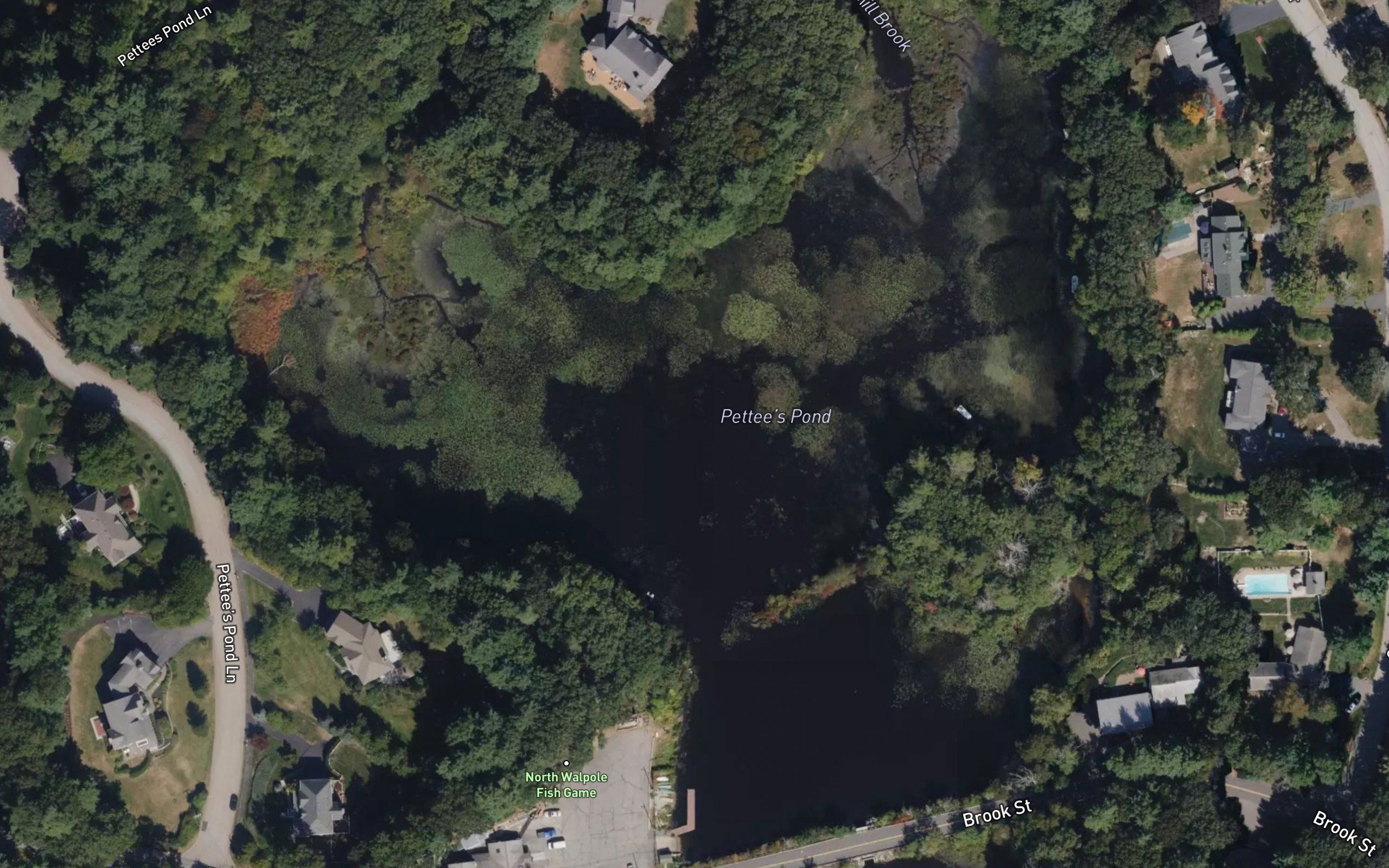 Pettee Pond