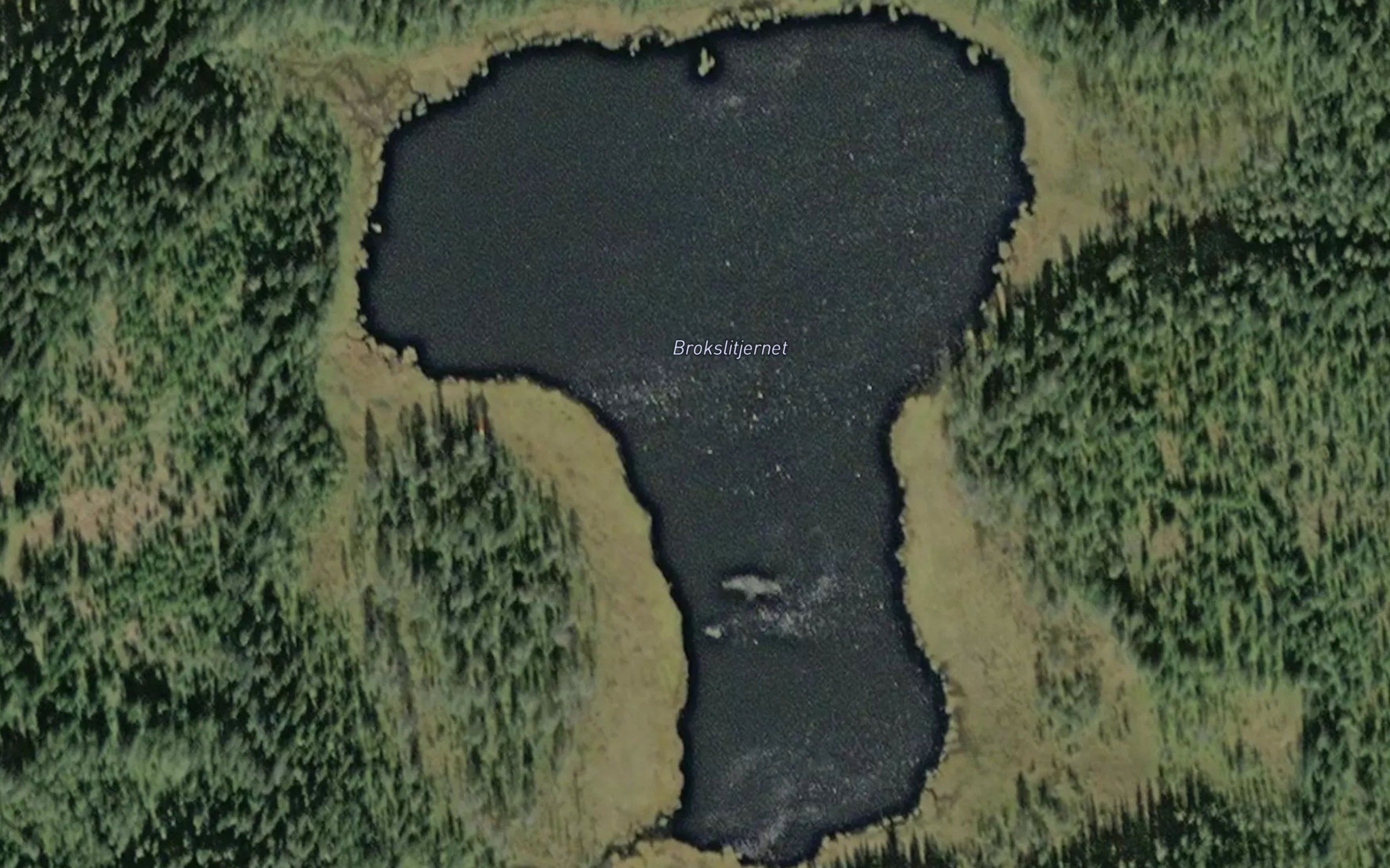 Brokslitjernet