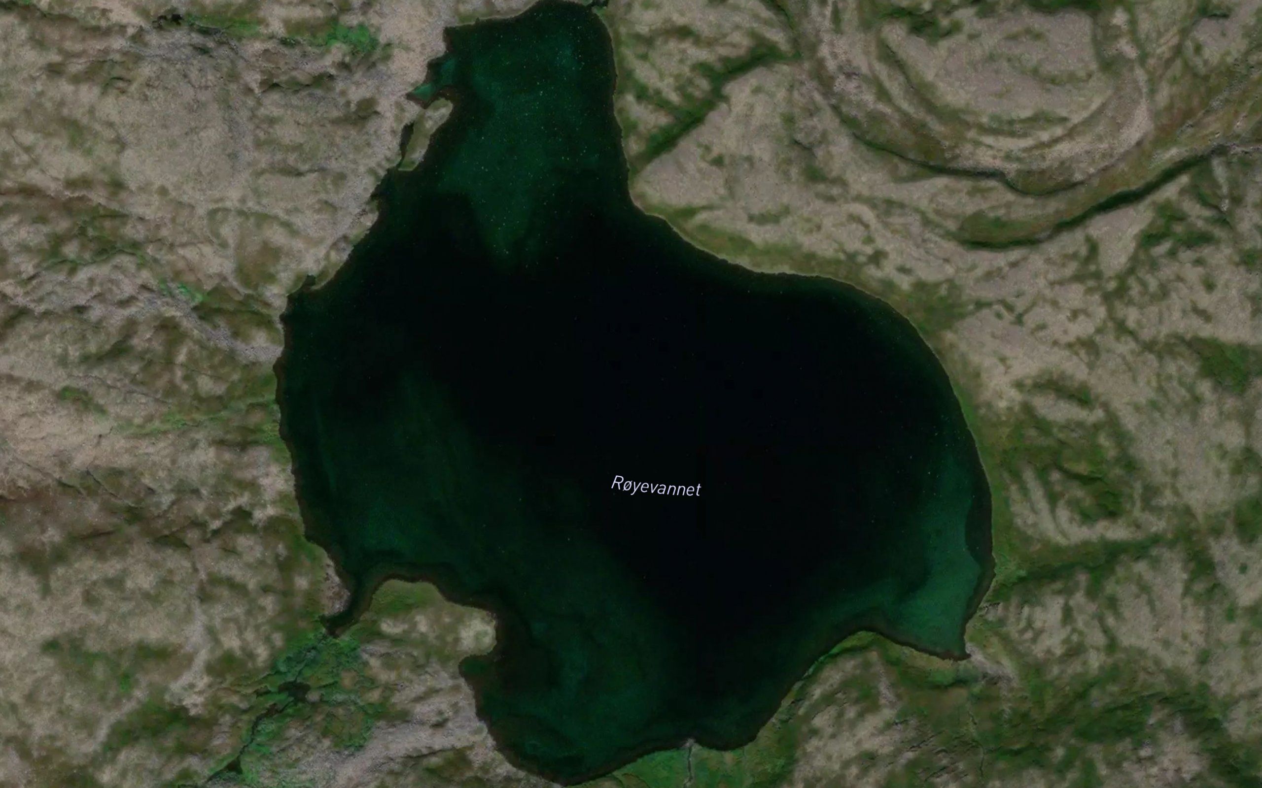 Royevatnet