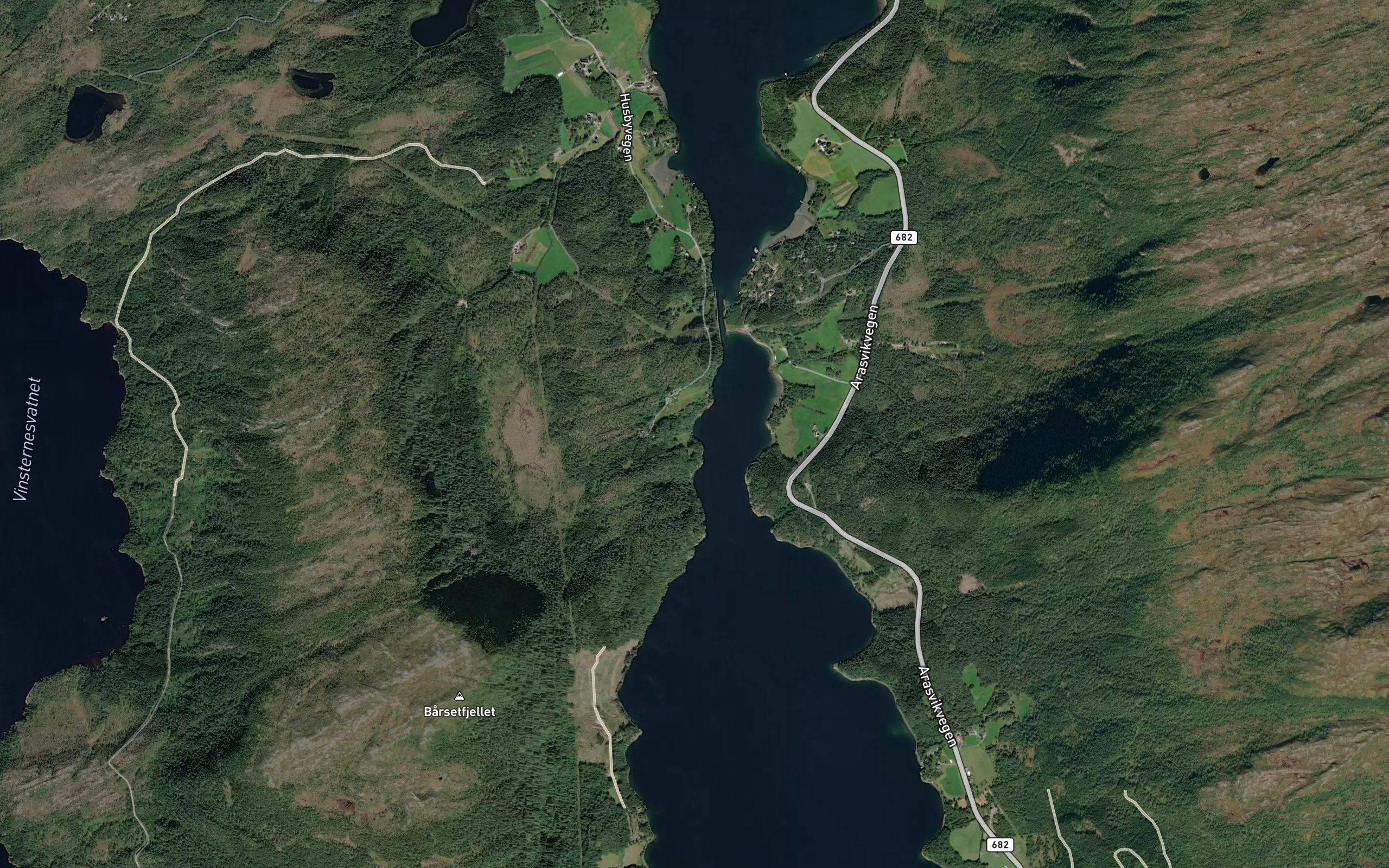 Mittervika