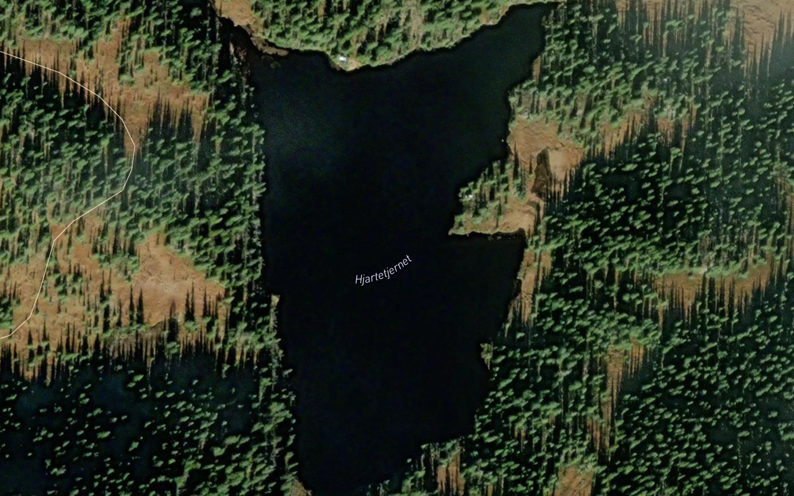 Hjartetjernet