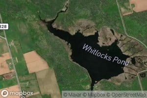 Whitlocks Pond