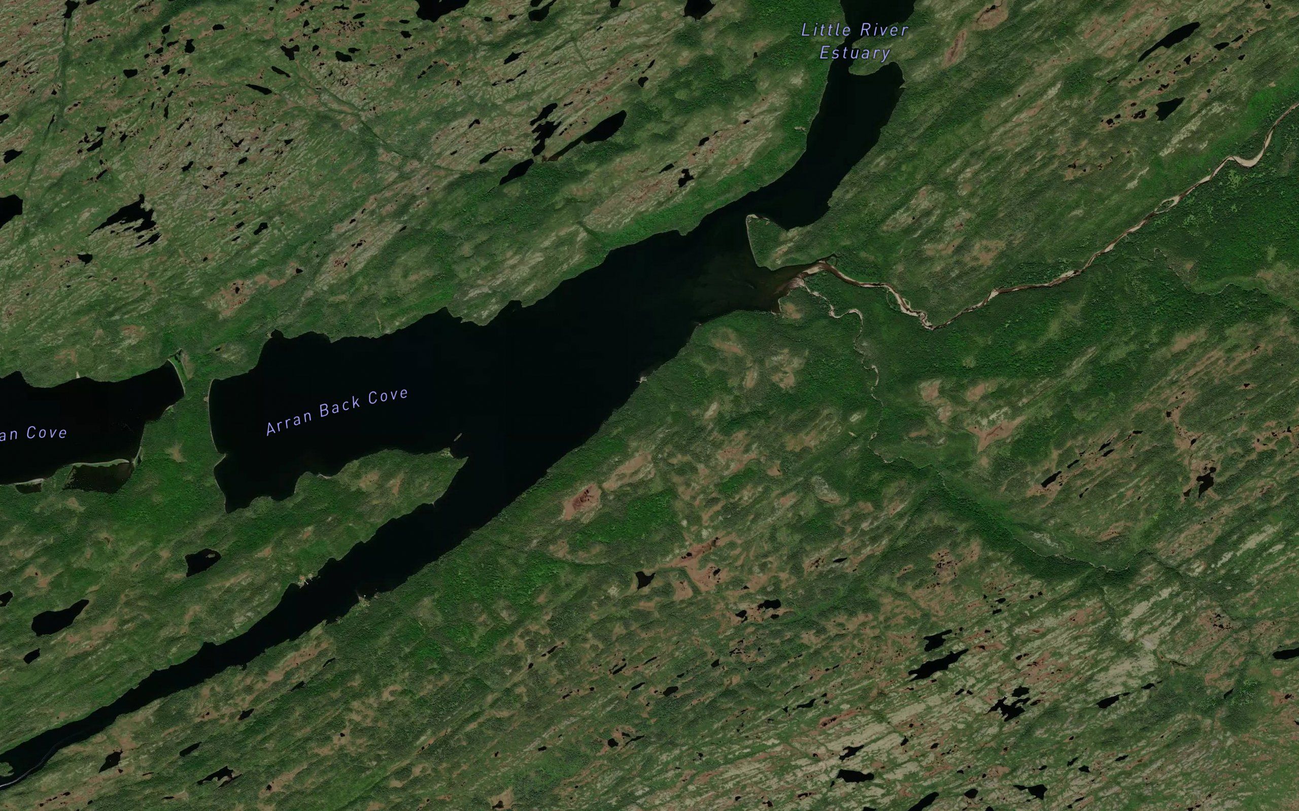 Lobster Cove