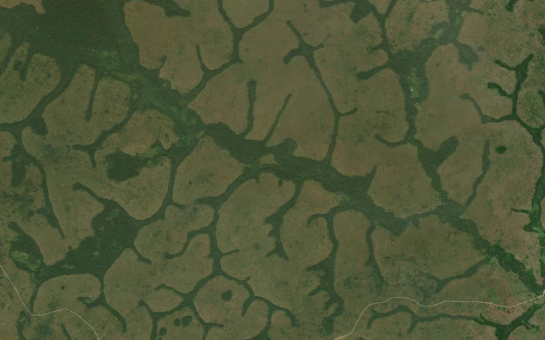 Satellite map of the Ngonga