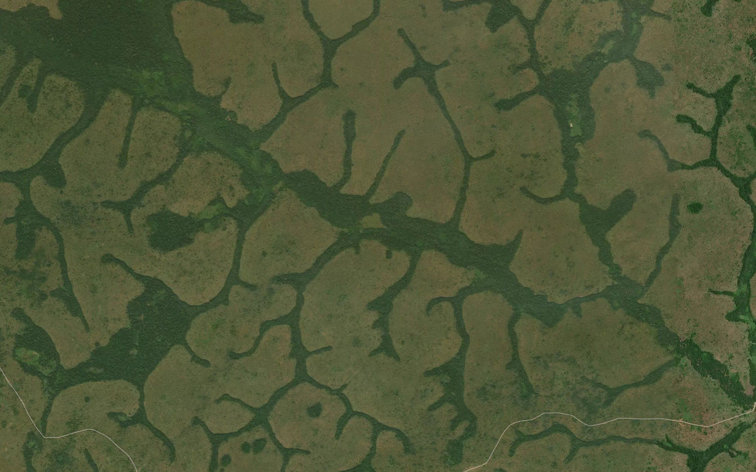 Ngonga