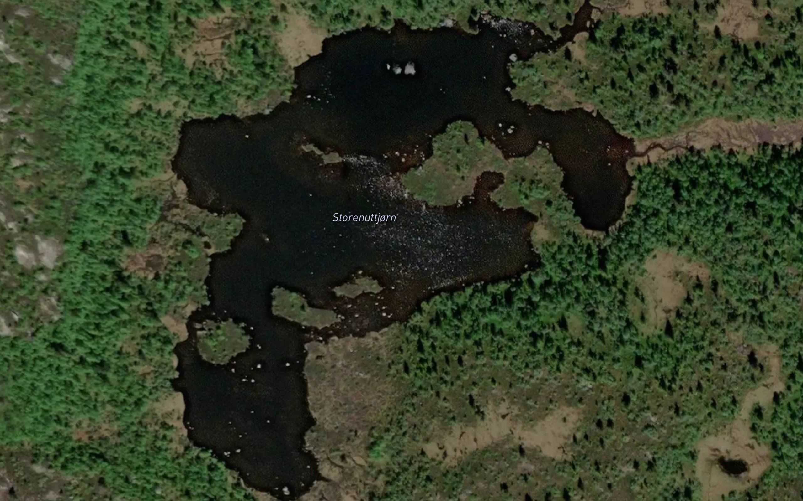 Storenuttjorn