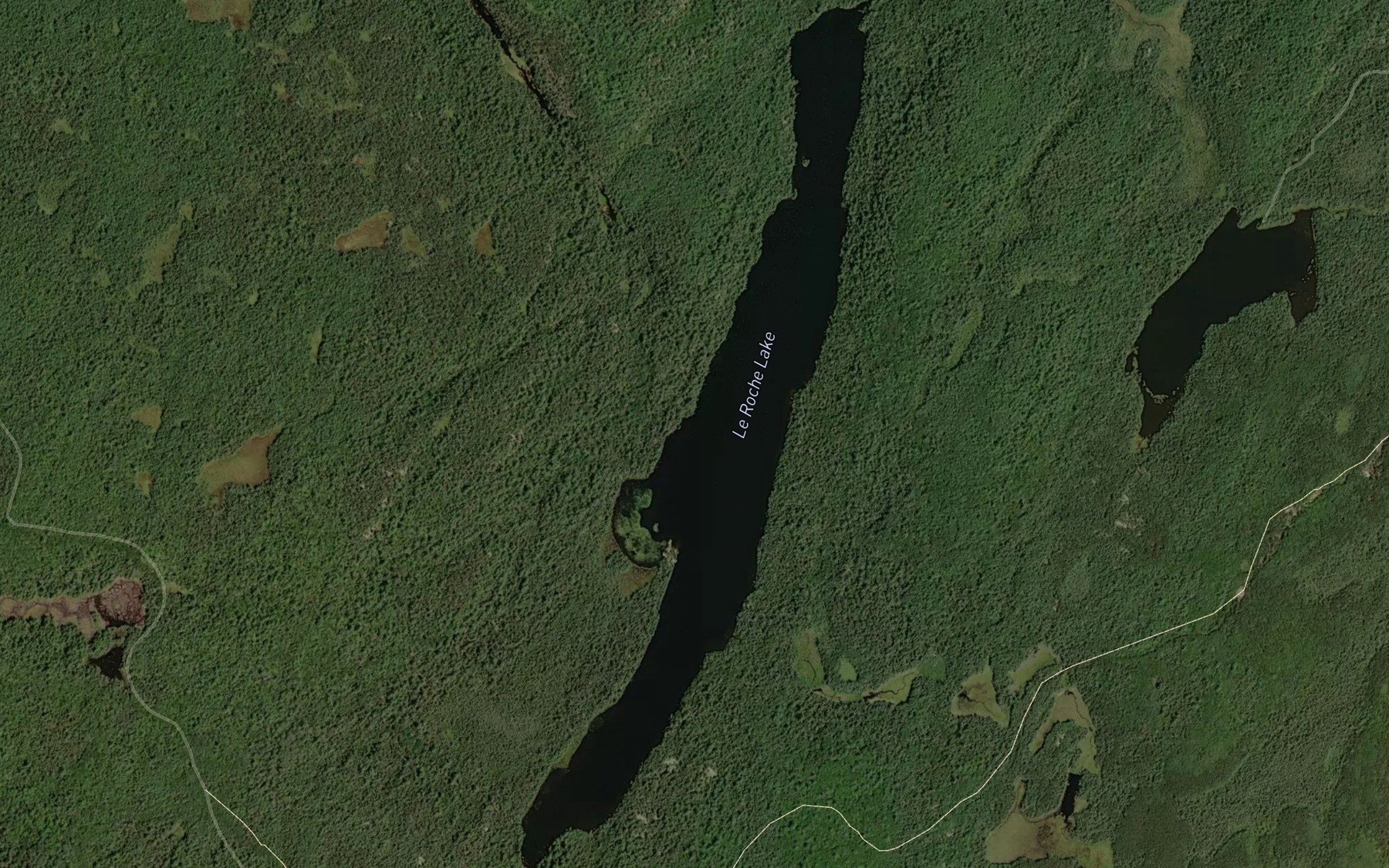 Satellite map of the Le Roche Lake