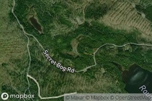 Secret Bog