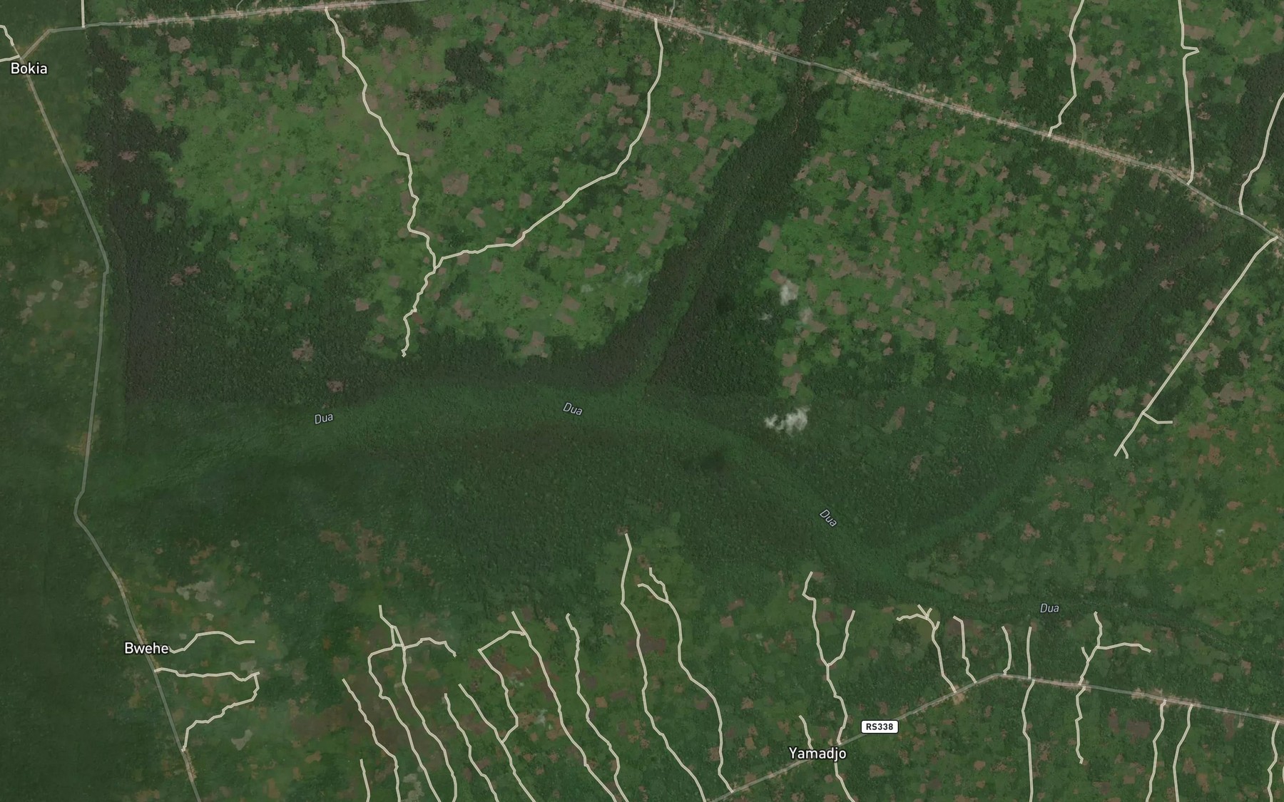 Satellite map of the Mondjo
