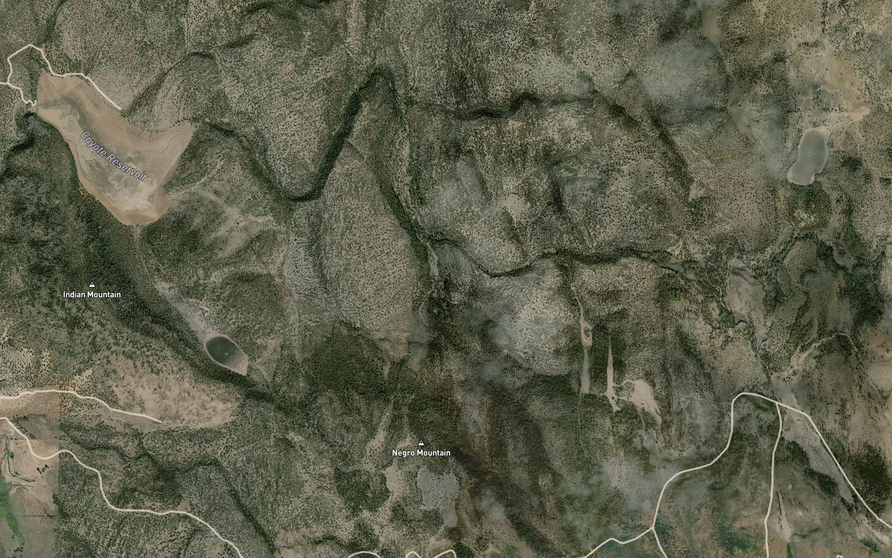 Satellite map of the Ollie Rivis Spring