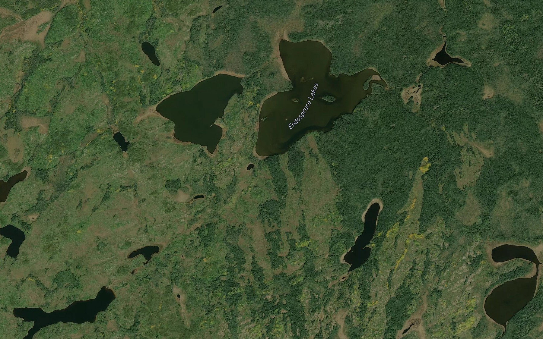 Satellite map of the Endospruce Lakes