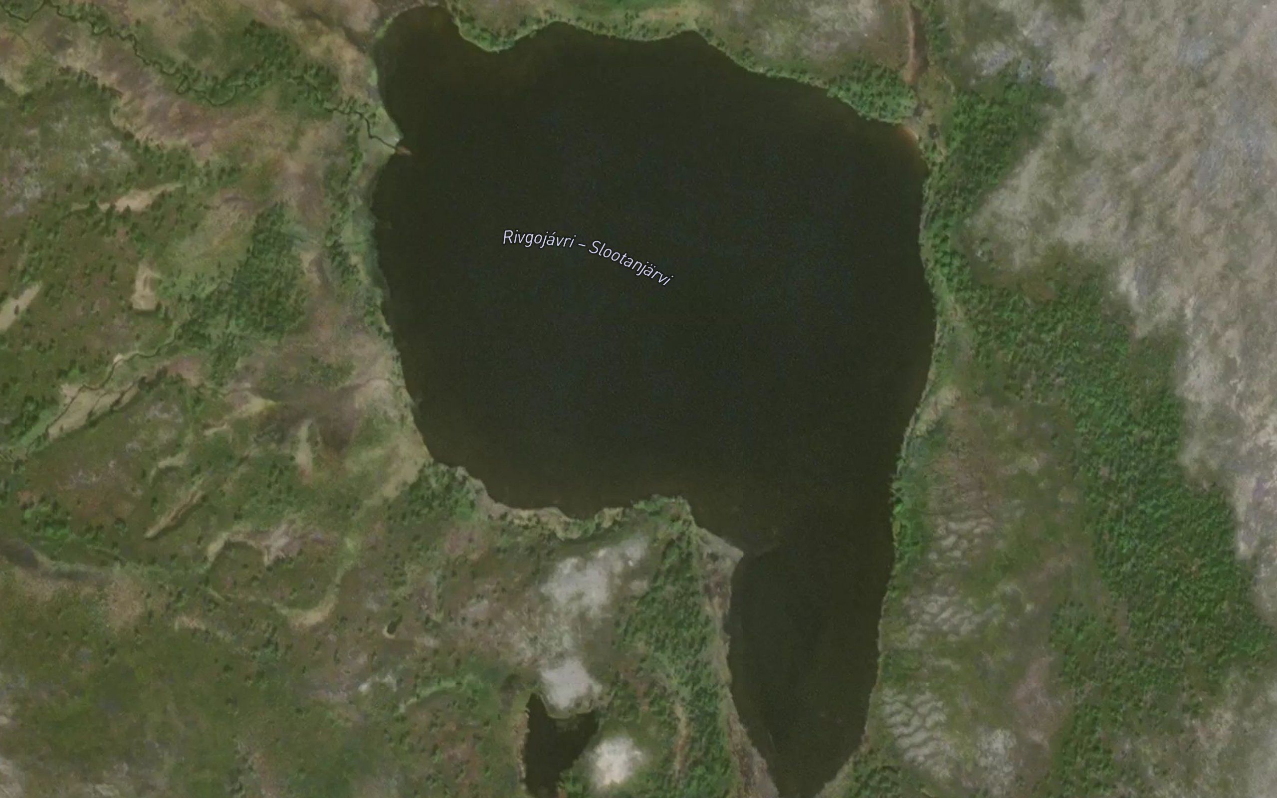 Rivgujavri