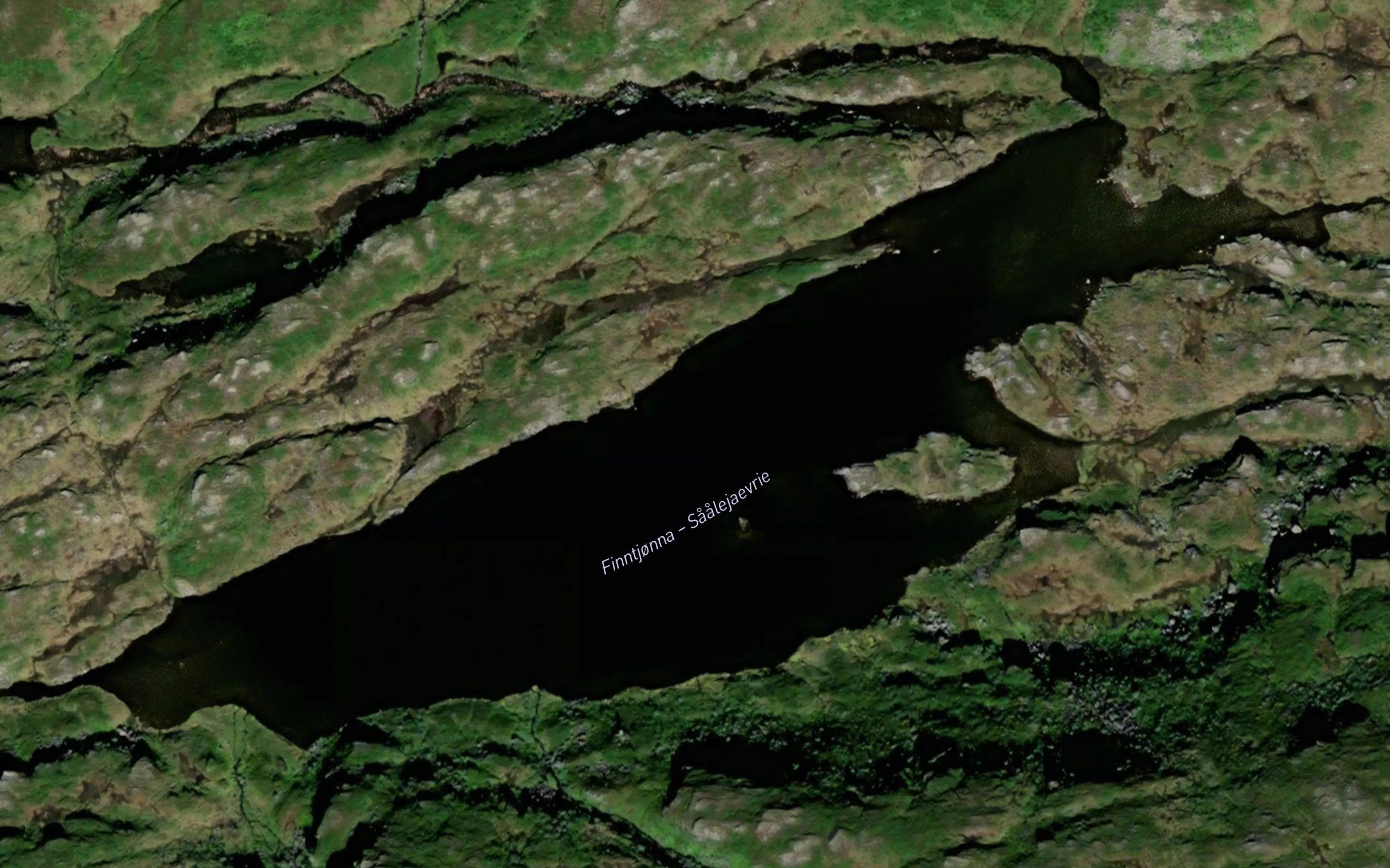 Finntjorna