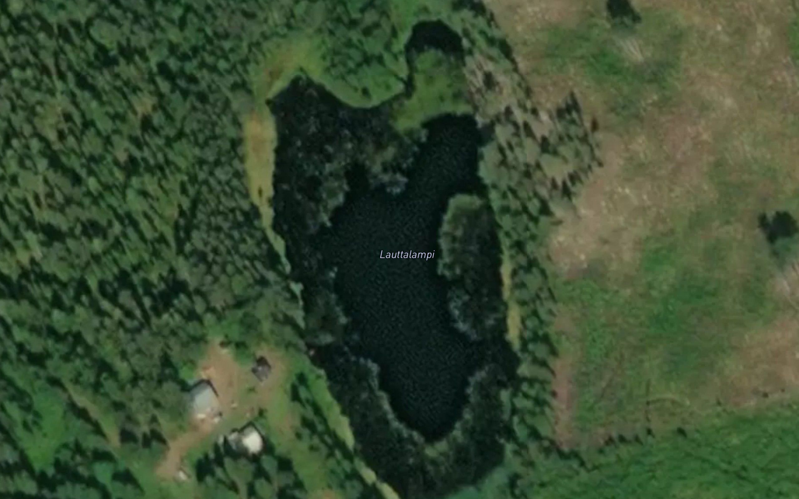 Lauttalampi