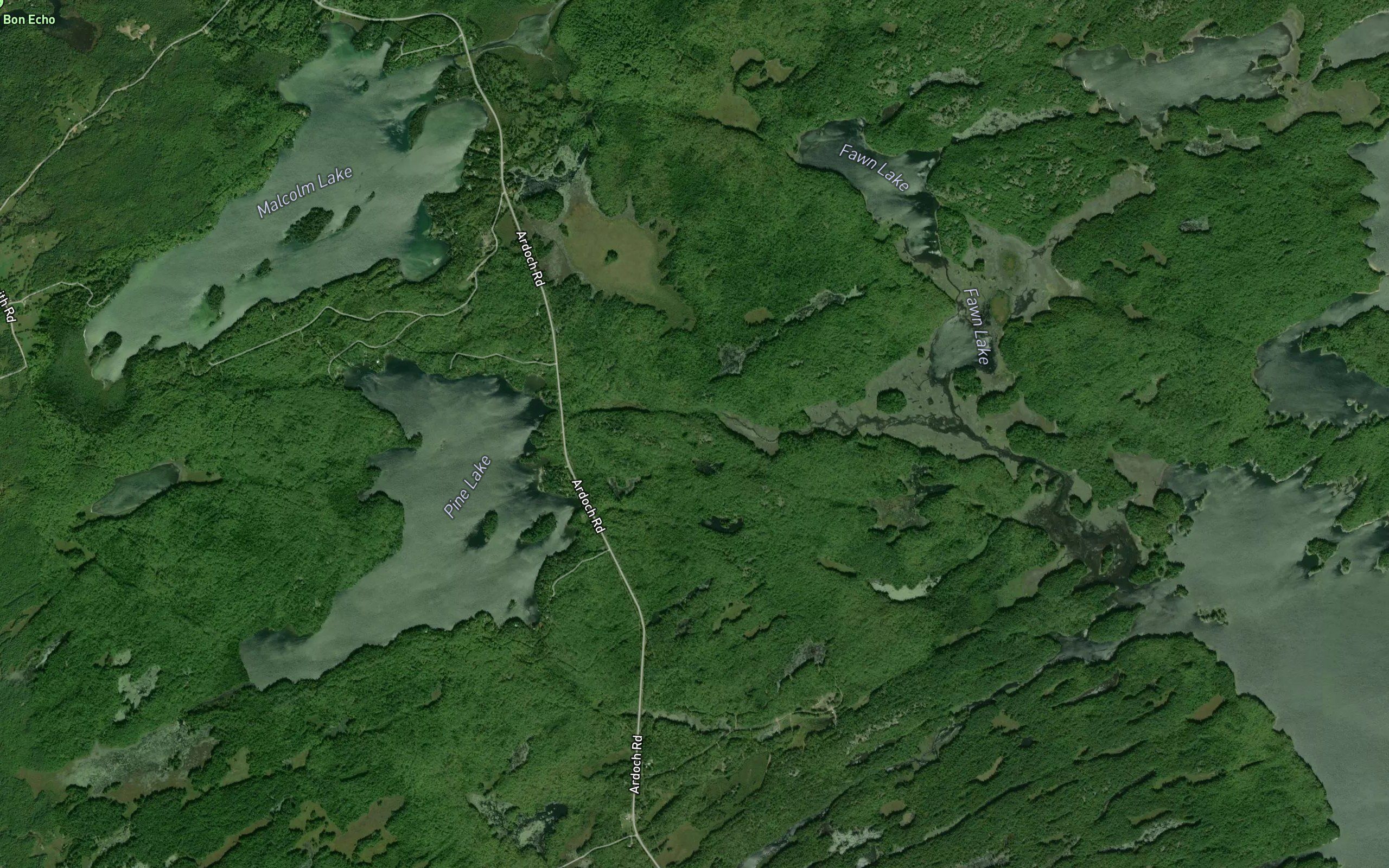 Ward's Creek