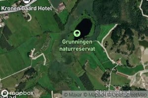 Grunningen