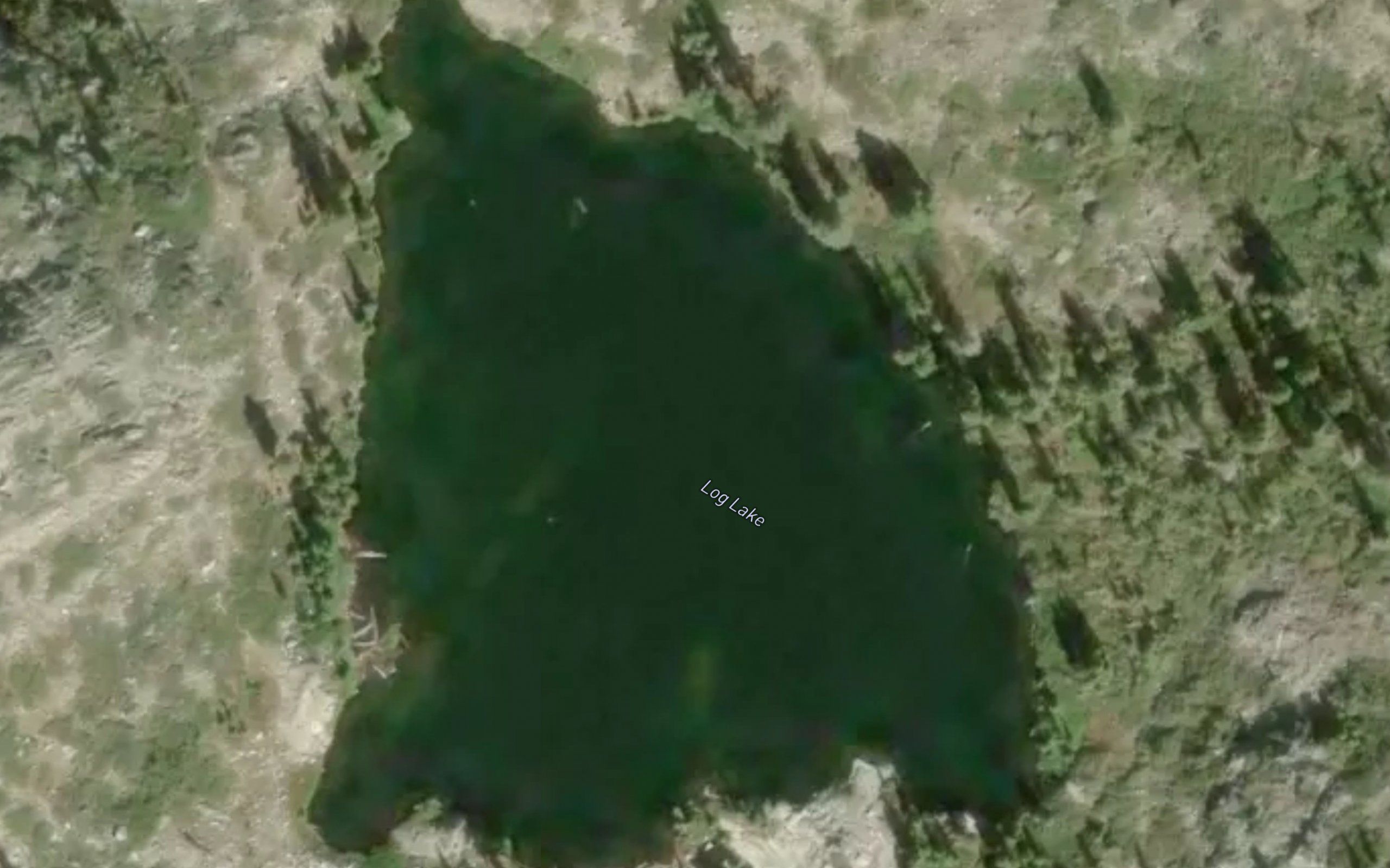 Log Lake