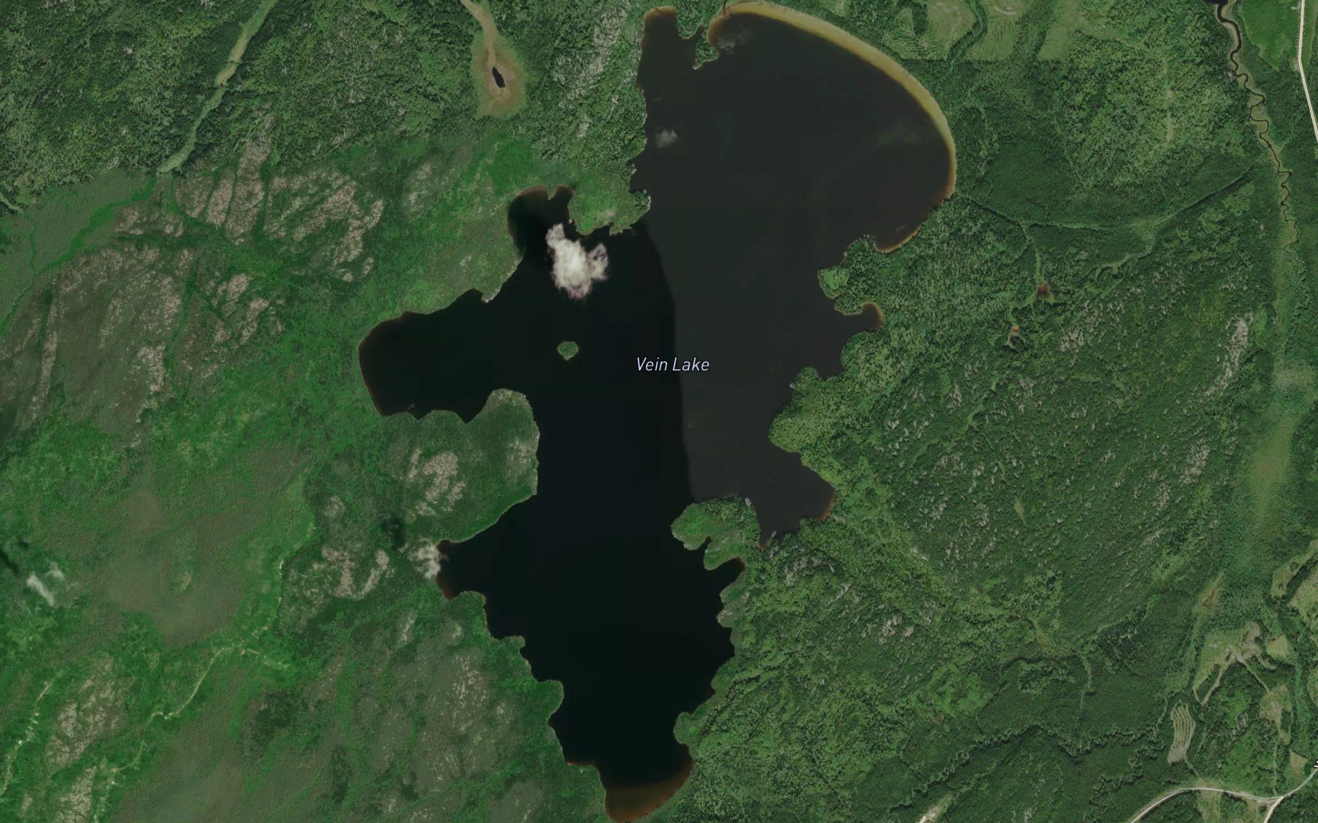 Vein Lake