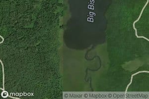 North Bissett Creek