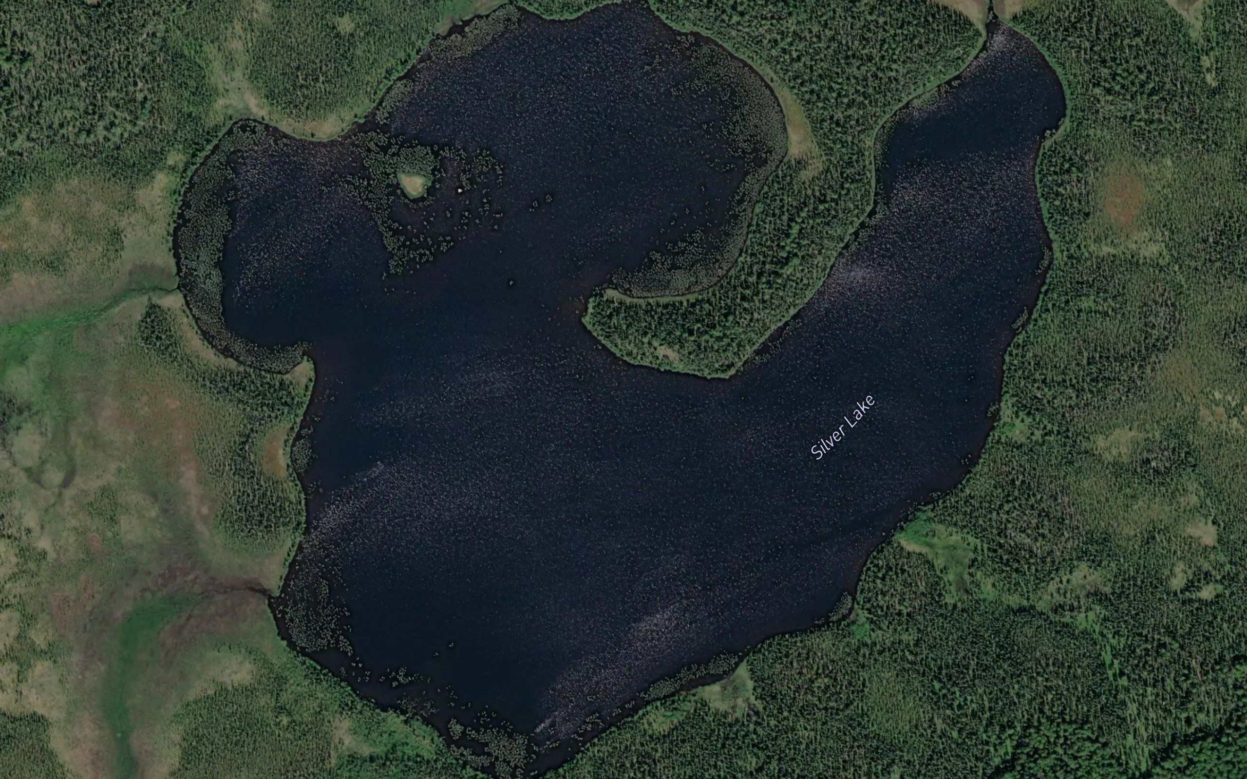 Silver Lake