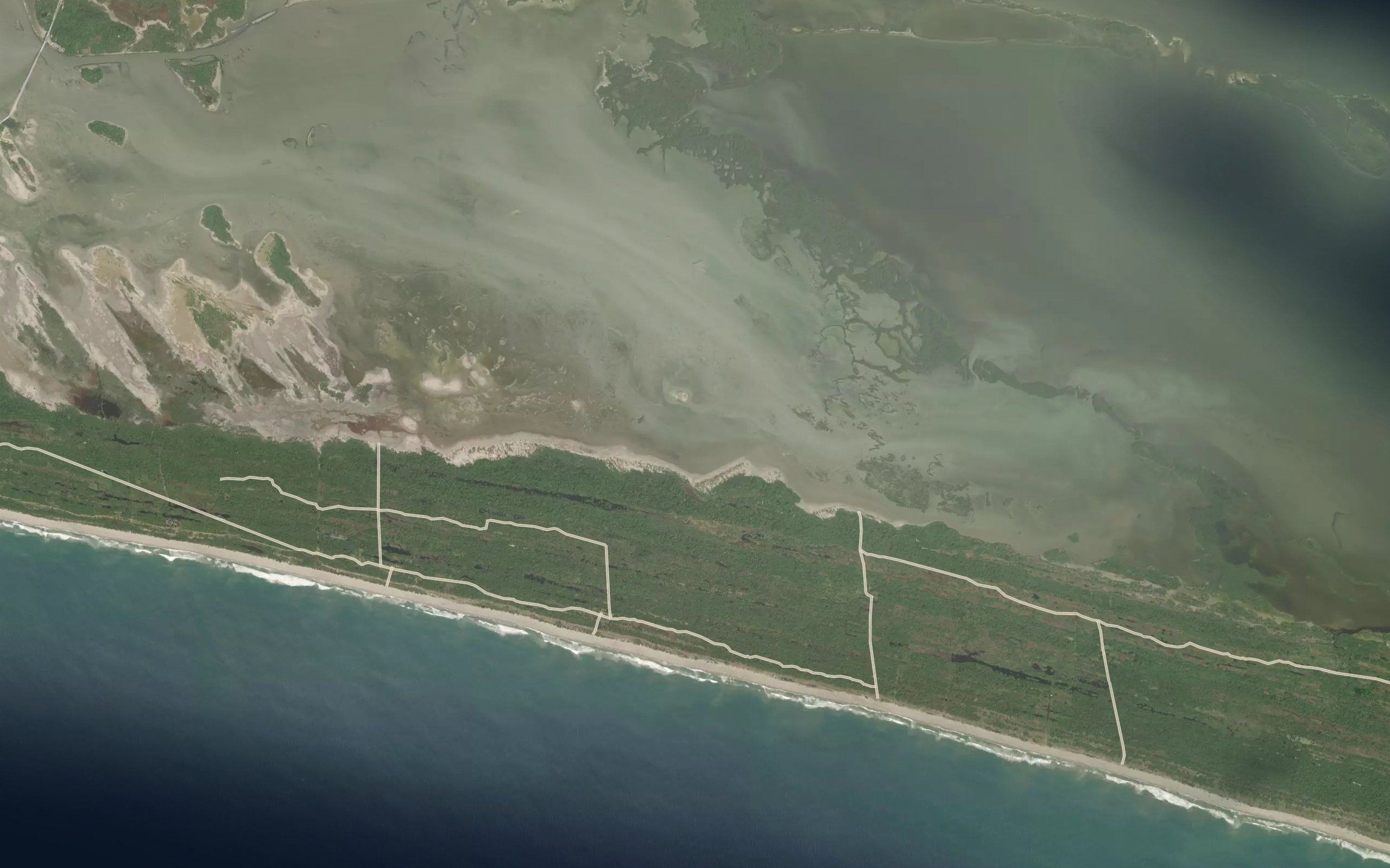 Laguna el Bicho