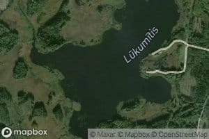Lukumitis