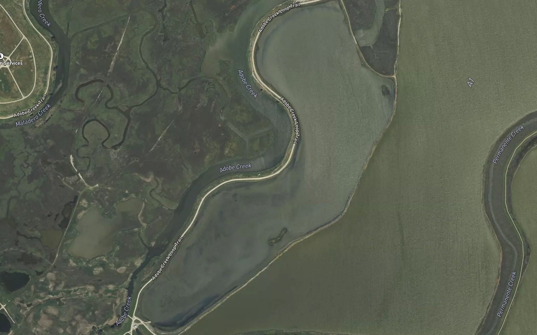 Satellite map of the Charleston Slough