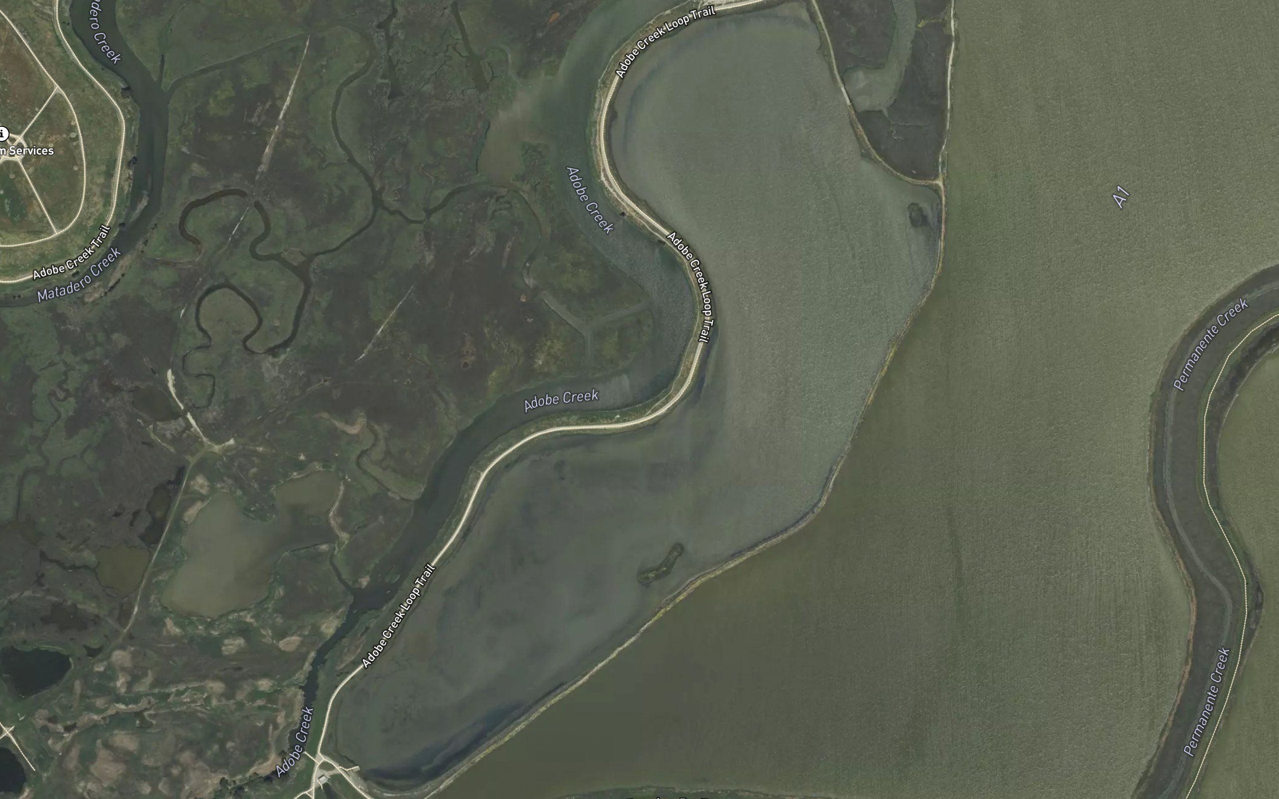 Charleston Slough