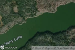 Captain Harry Lake
