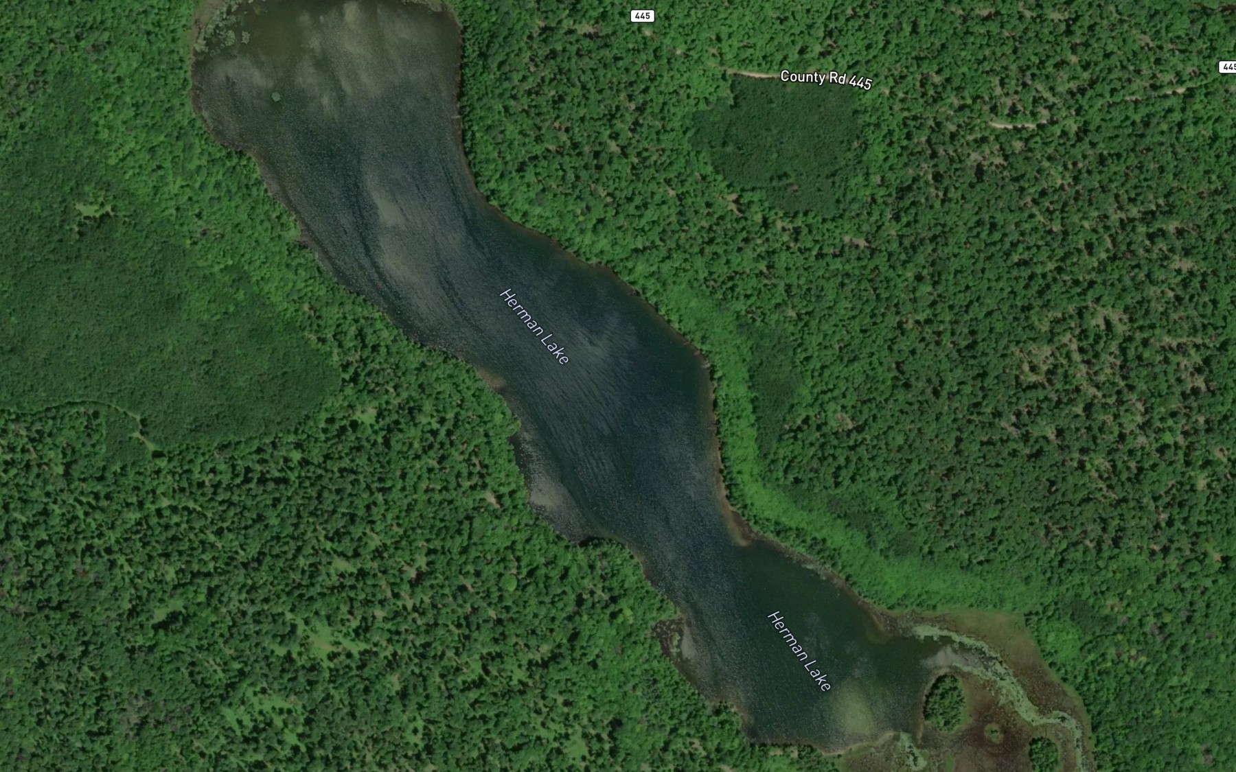 Satellite map of the Herman Lake