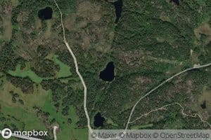 Fleketjorn