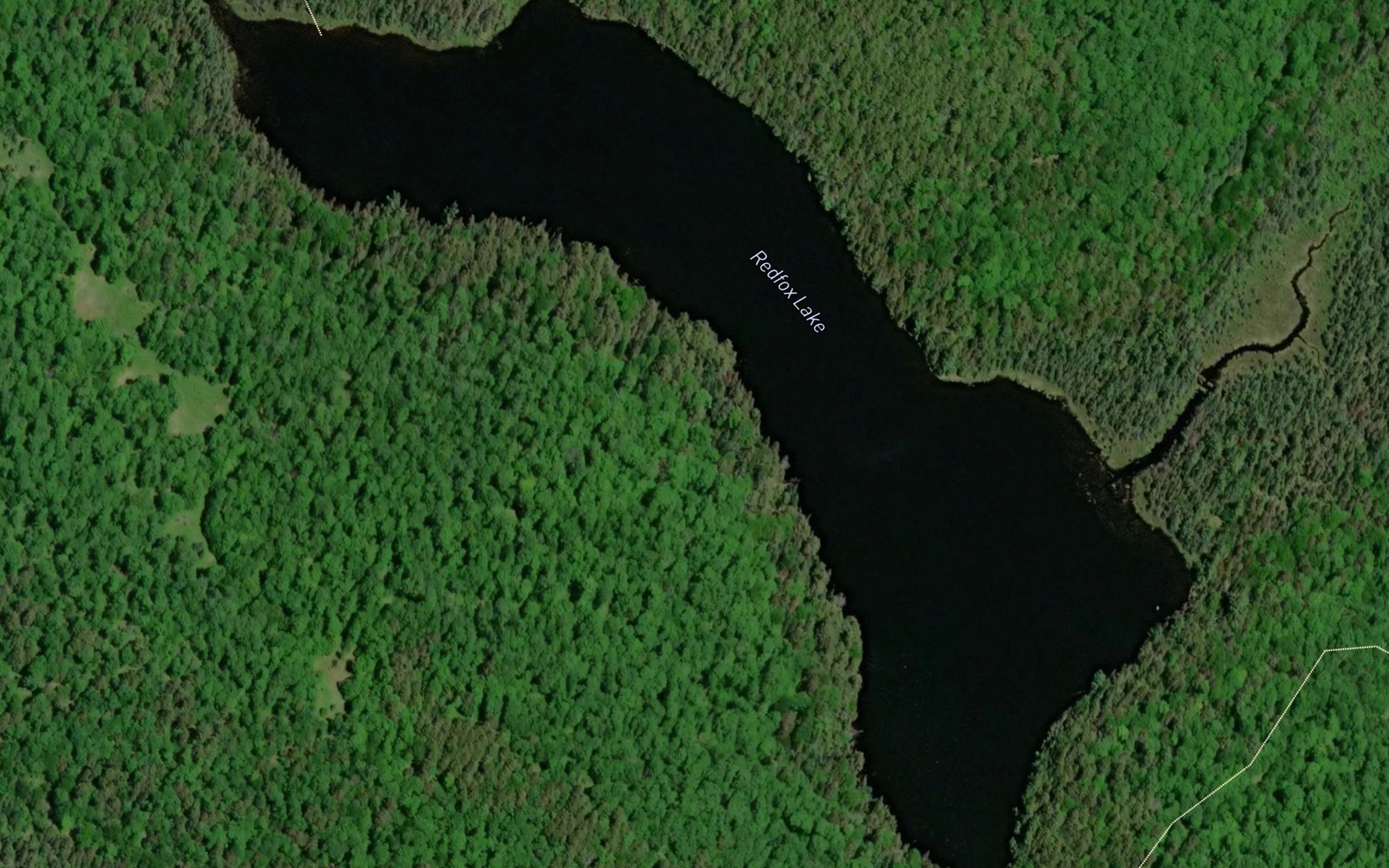 Satellite map of the Redfox Lake