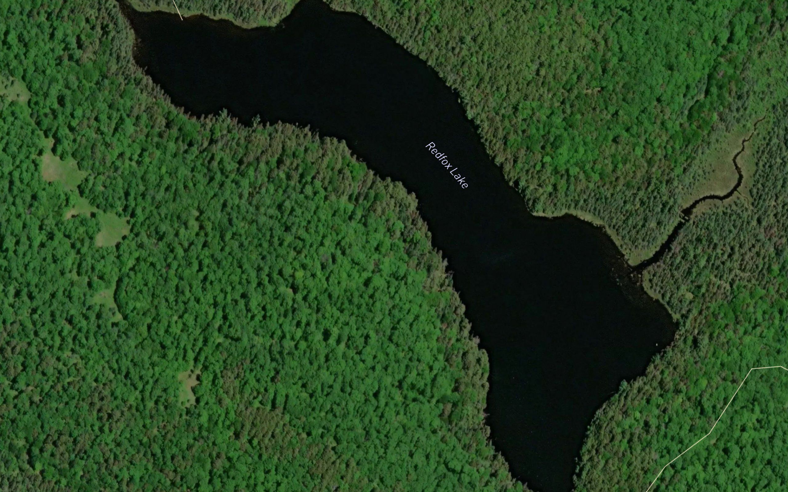 Redfox Lake