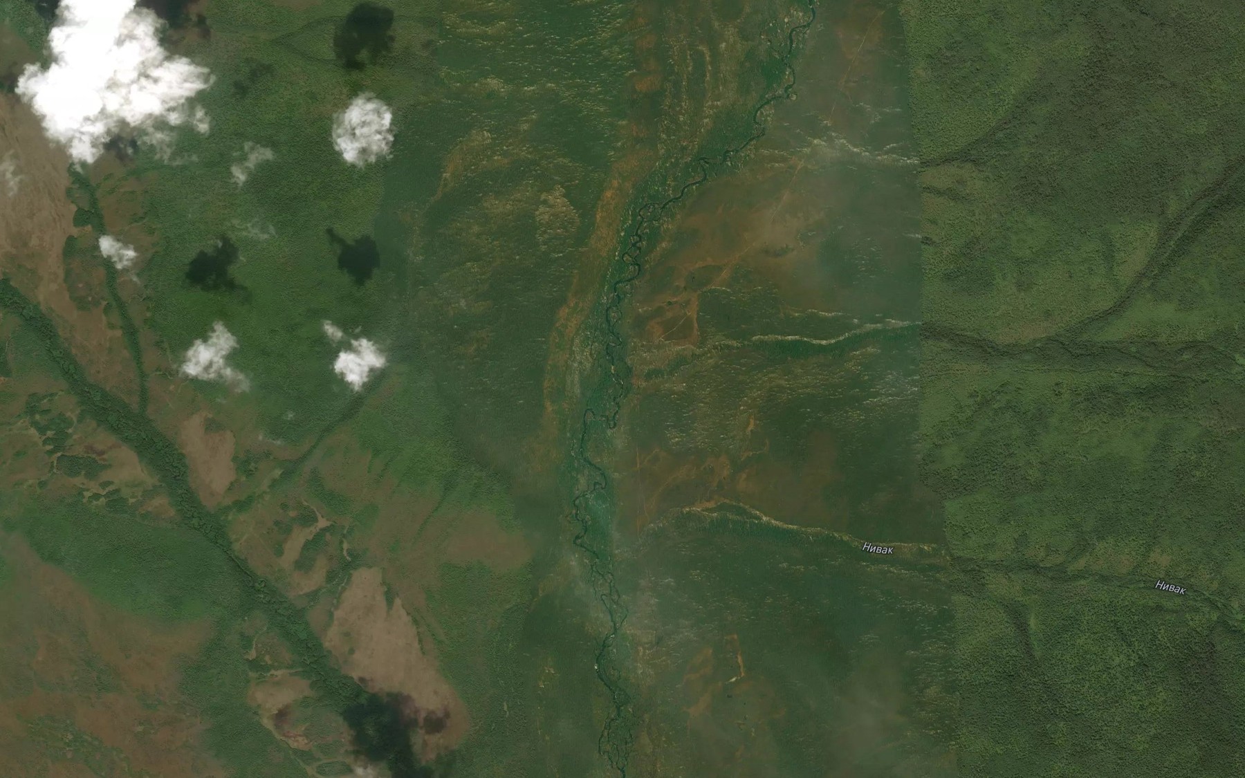 Satellite map of the Chistyy