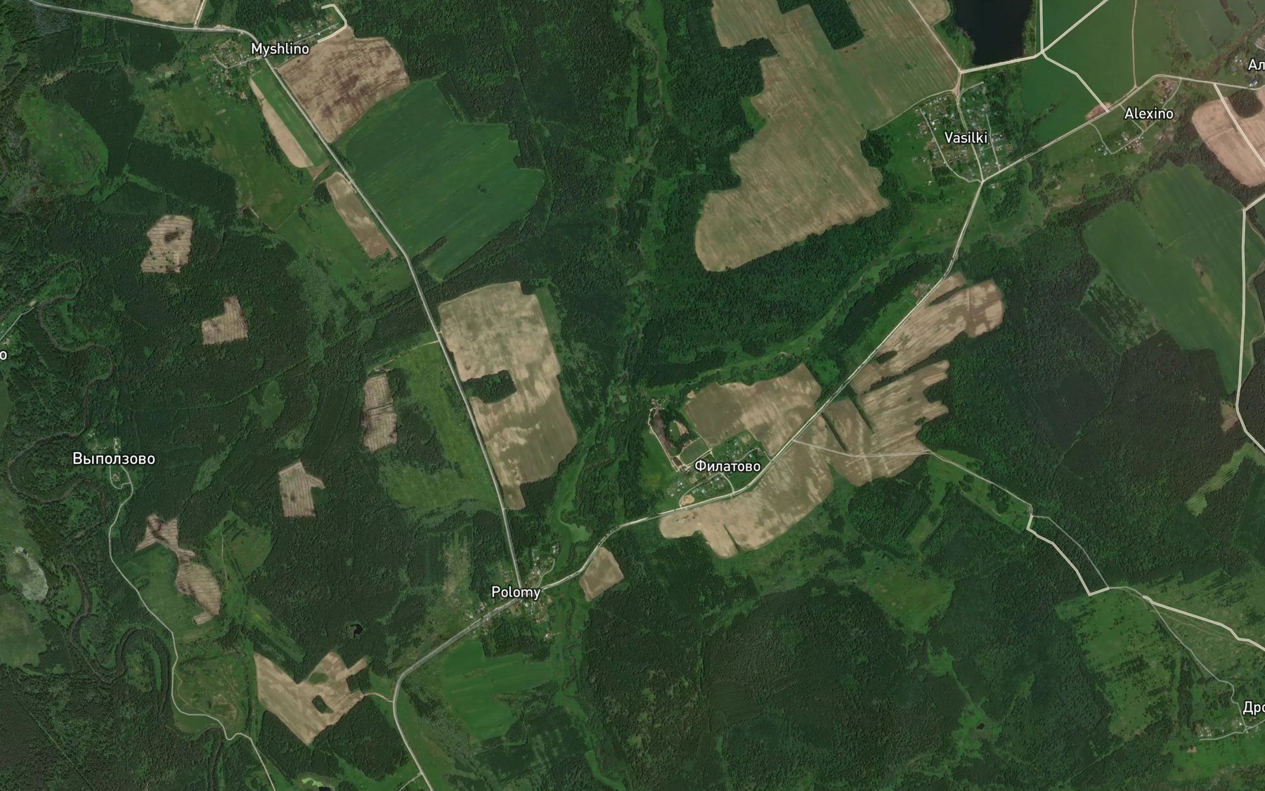 Satellite map of the Borshchevka