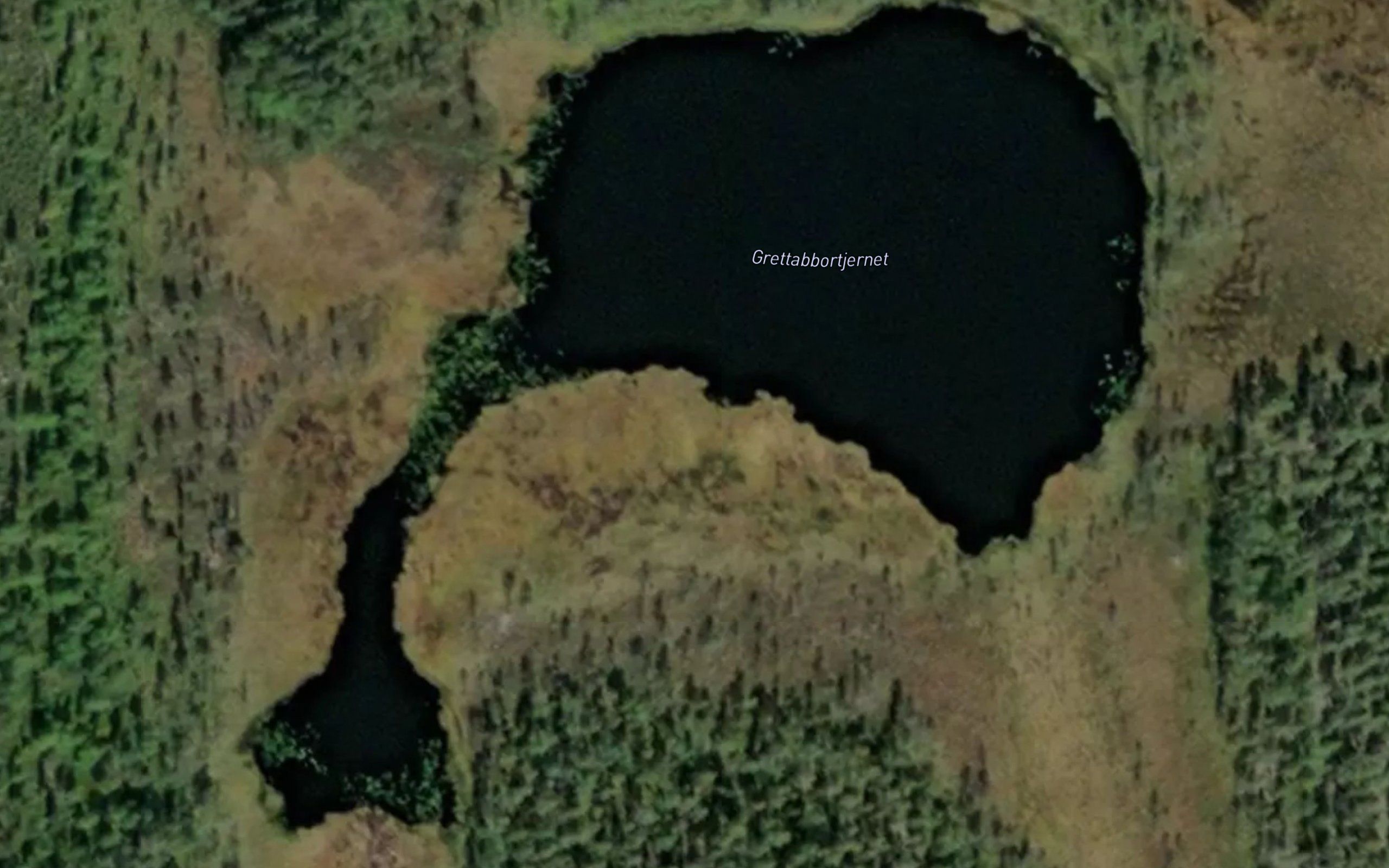 Grettabbortjennet