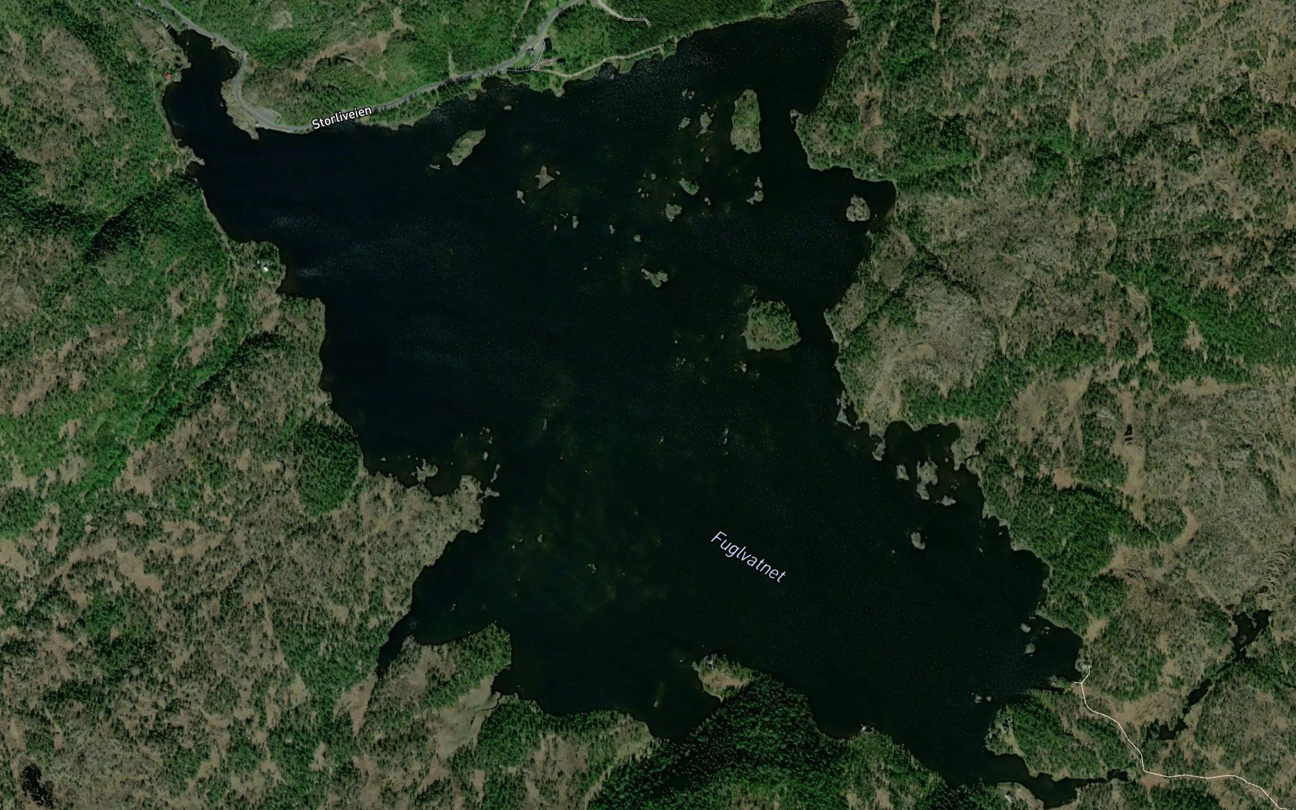 Fuglvatnet