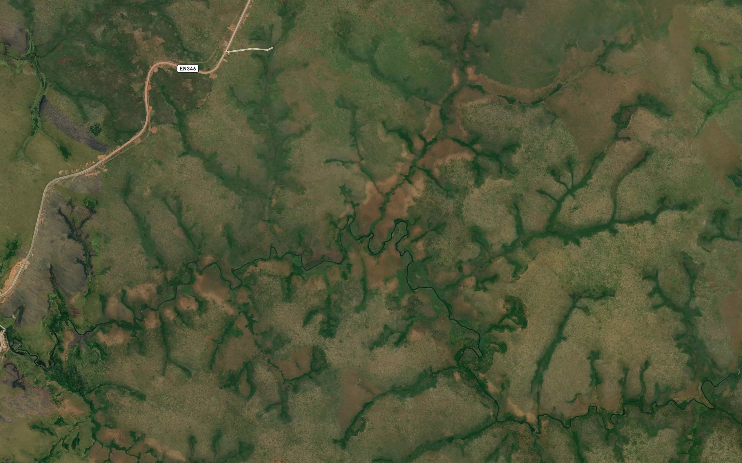 Camuanga