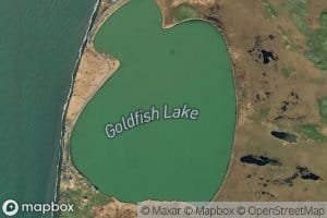 Goldfish Lake