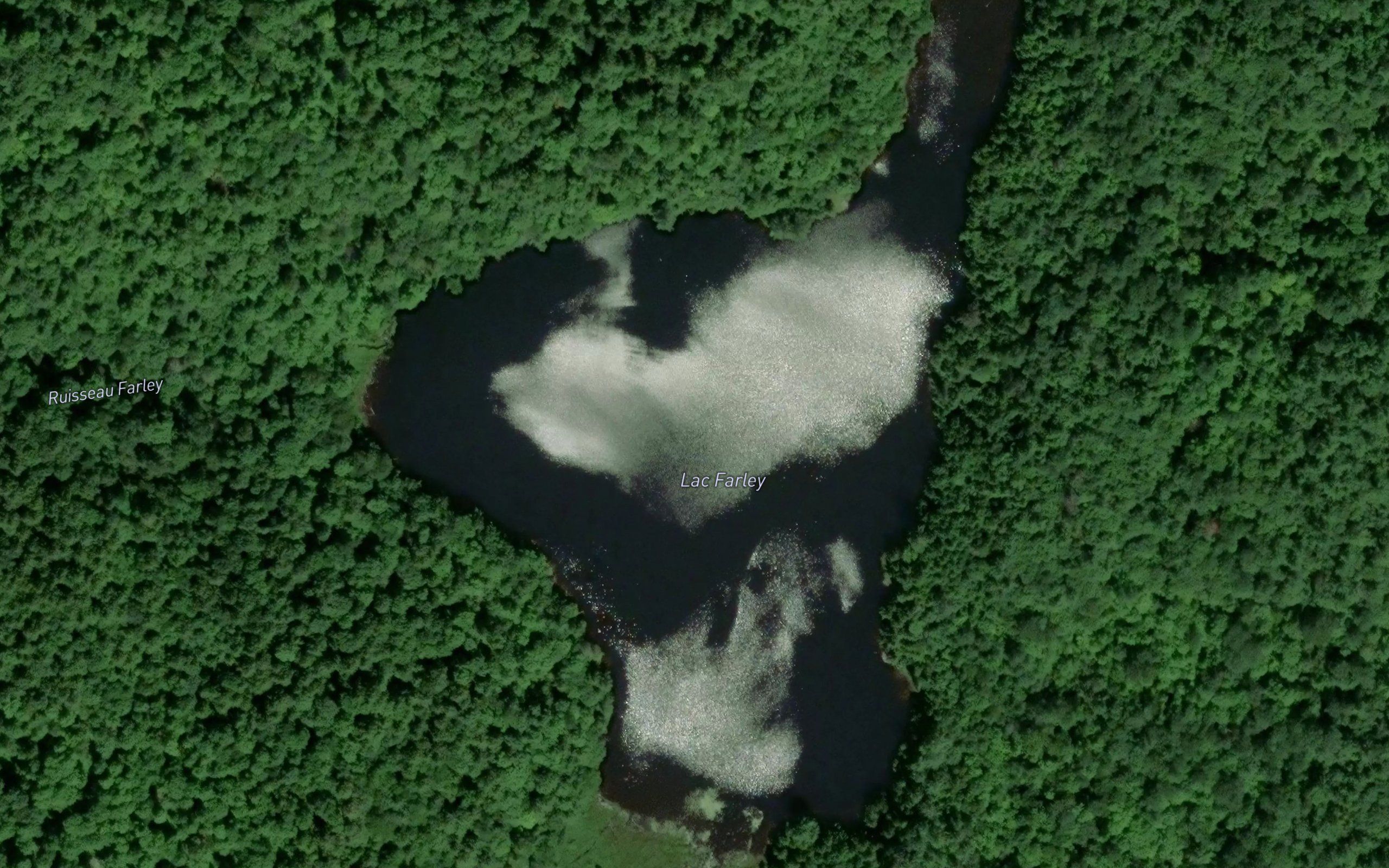 Lac Farley