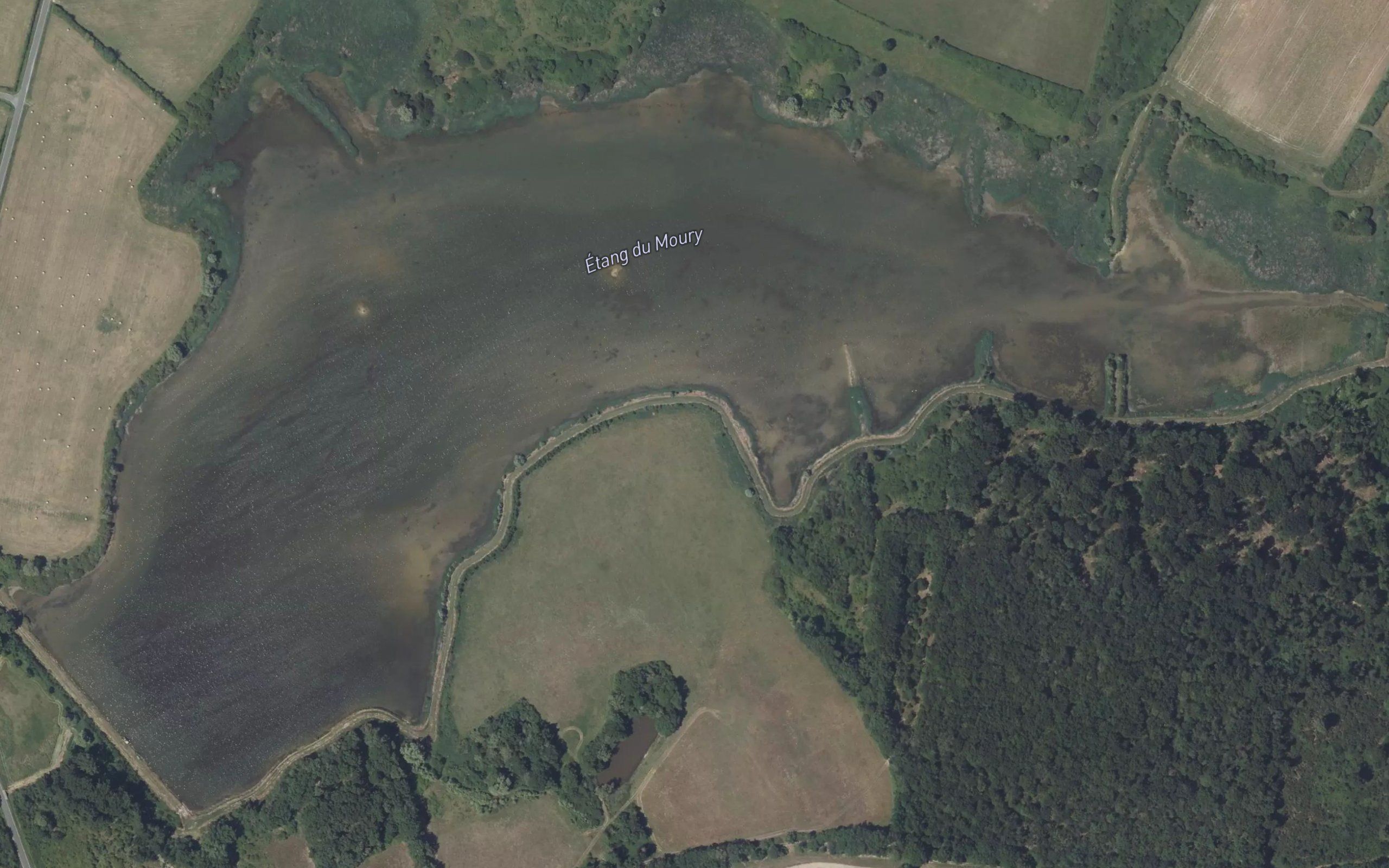 Etang du Moury